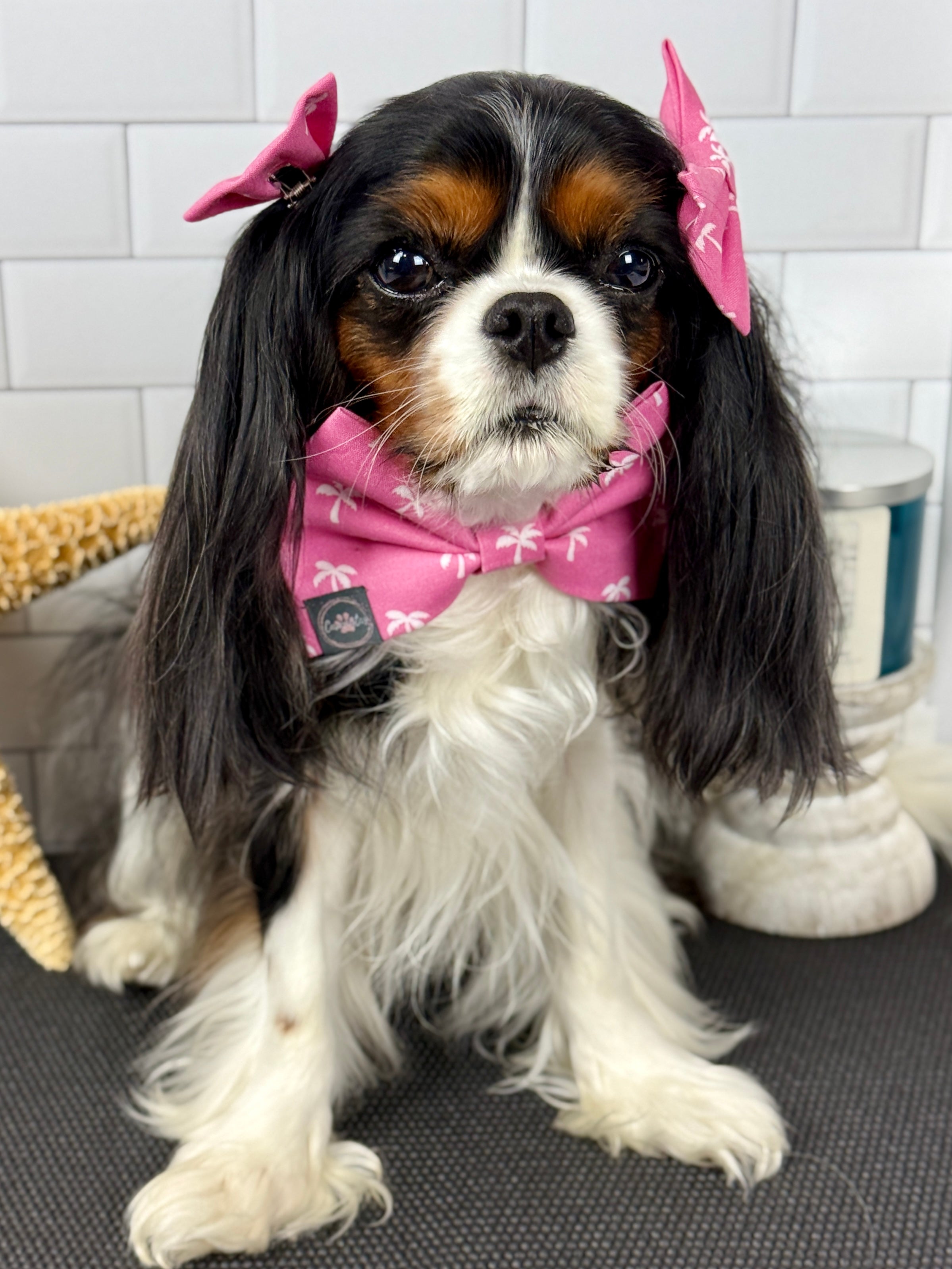 Dress to Impress Bow Tie - Flamingo Bay and Isle of Palms