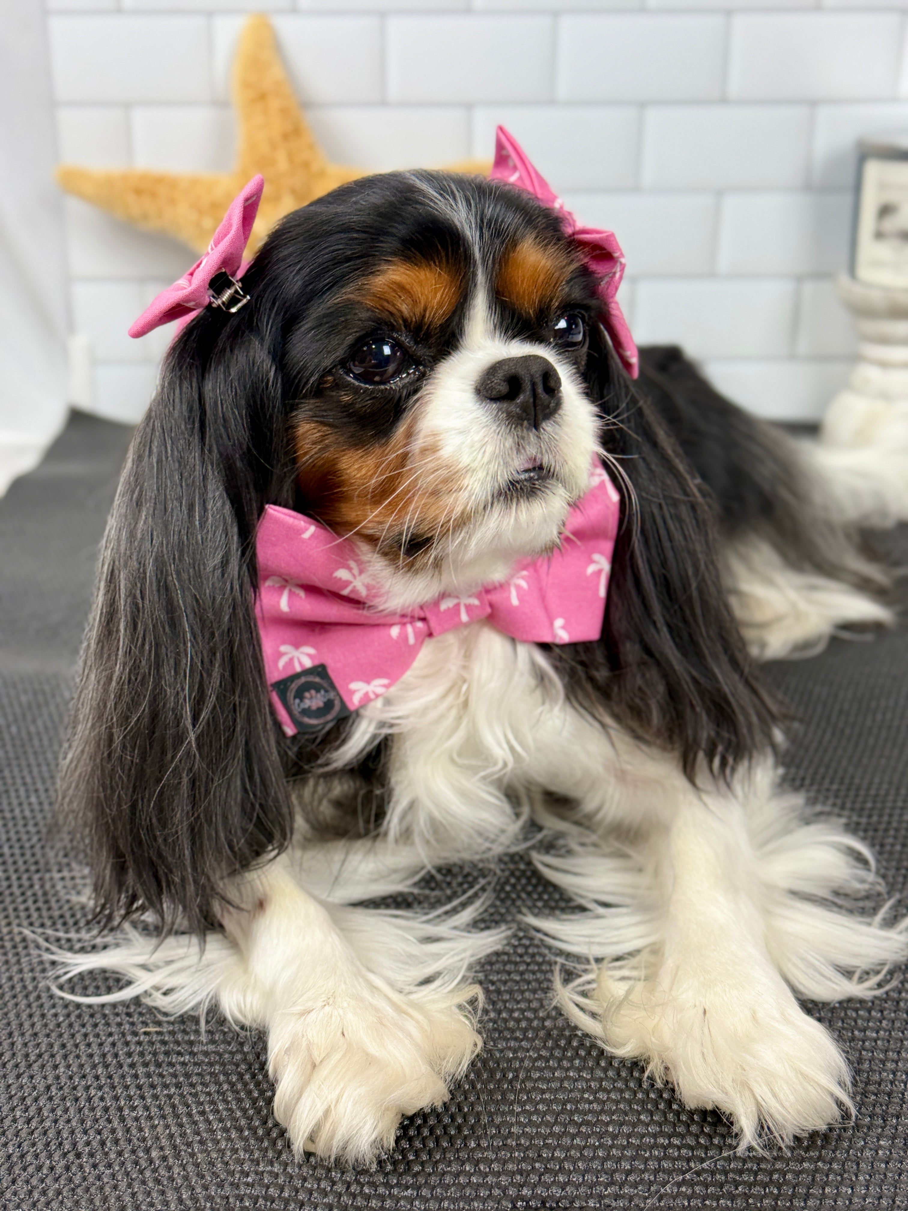 Dress to Impress Bow Tie - Flamingo Bay and Isle of Palms