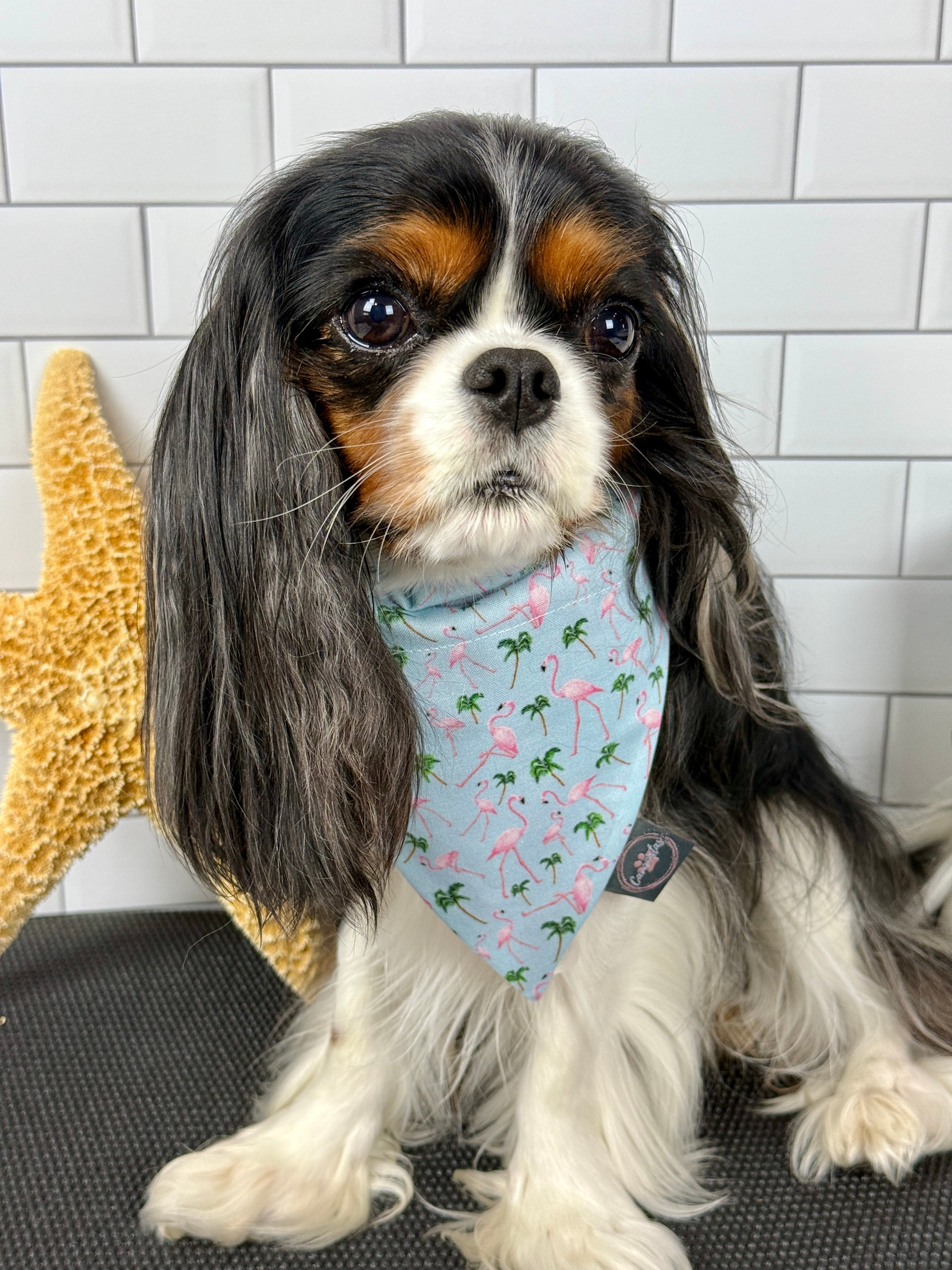 Intermission Wardrobe Change Reversible Bandana - Flamingo Bay & Isle of Palms