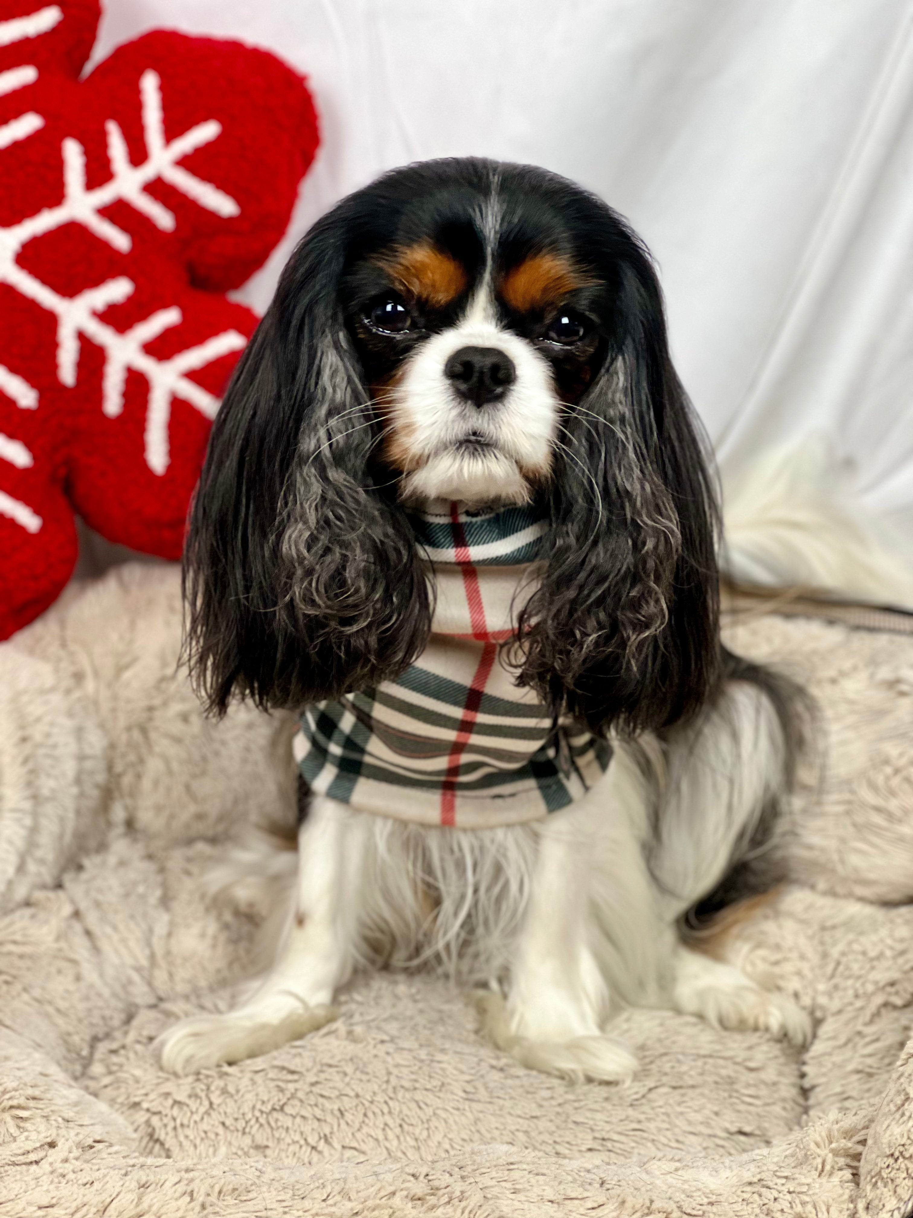 Cozy & Warm Infinity Scarf