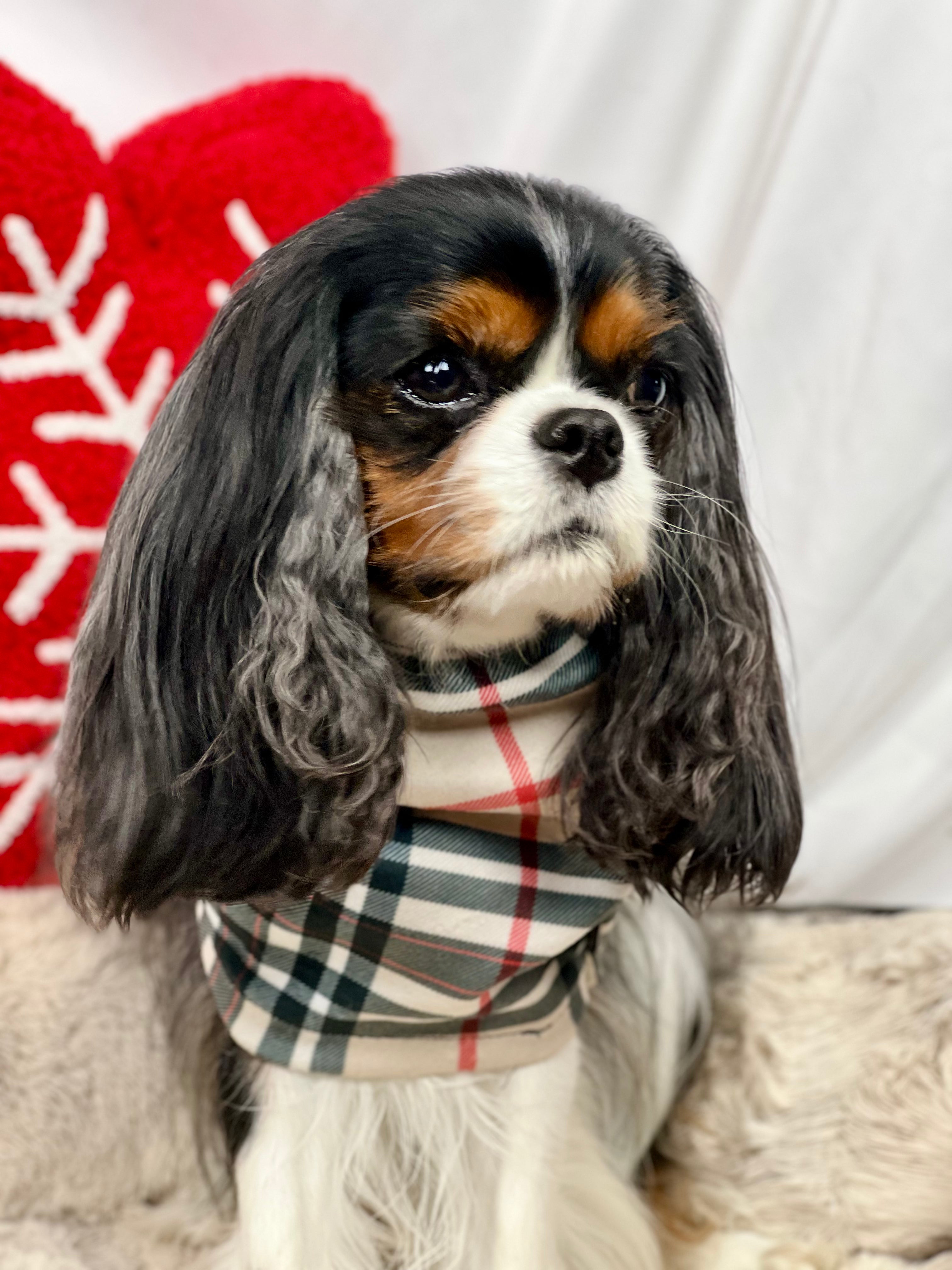 Cozy & Warm Infinity Scarf