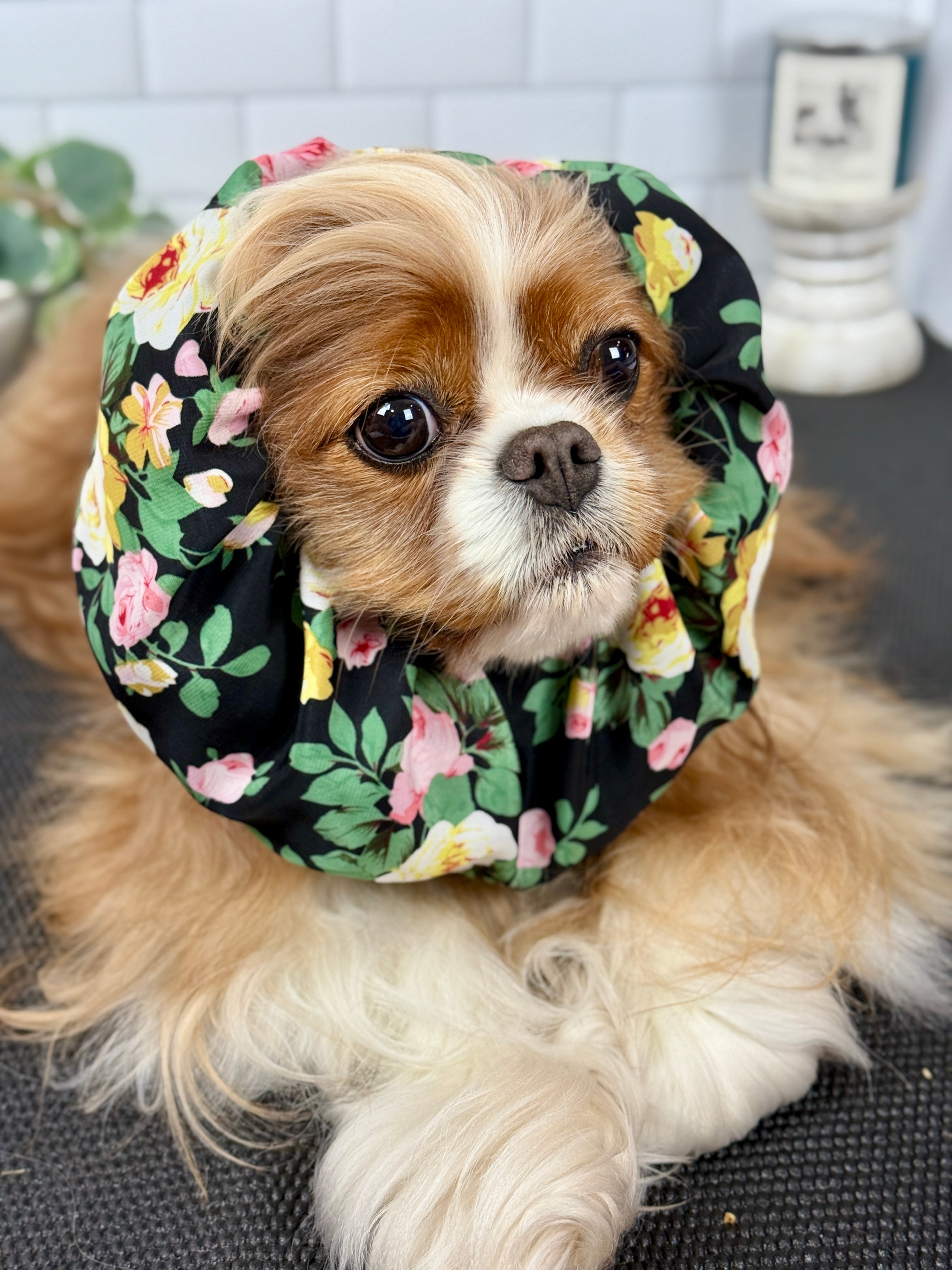 The Long-Ear Struggles are Real Snood - Summer Rose
