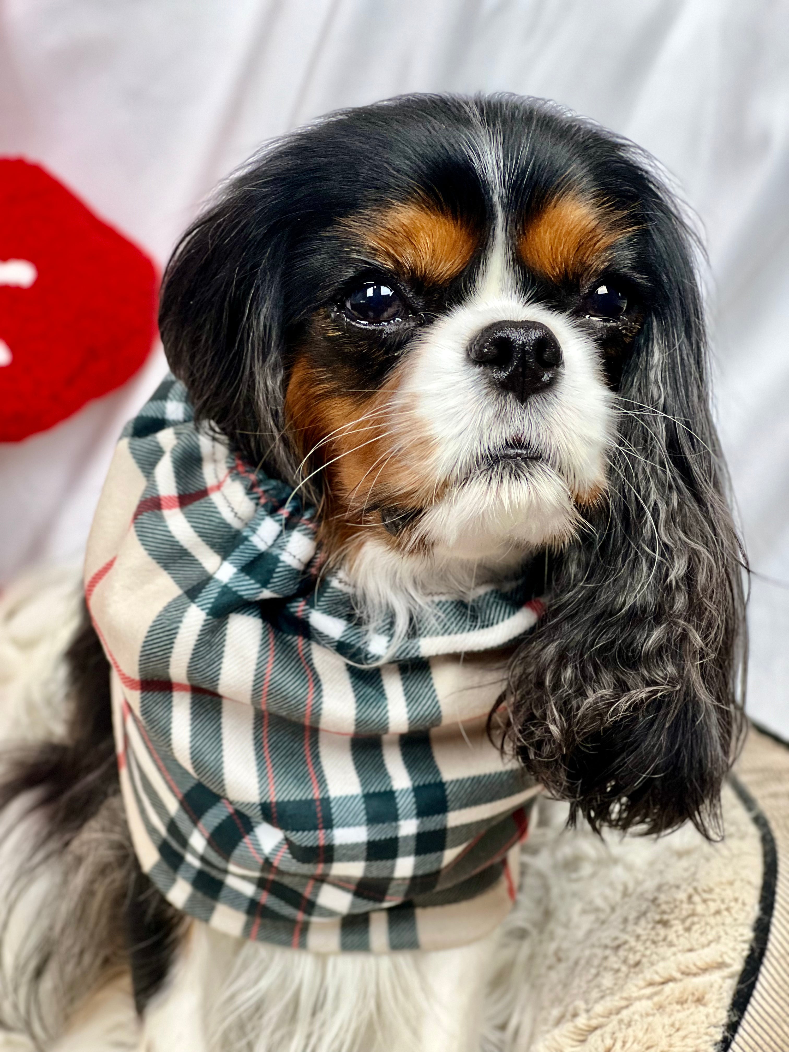 Cozy & Warm Infinity Scarf