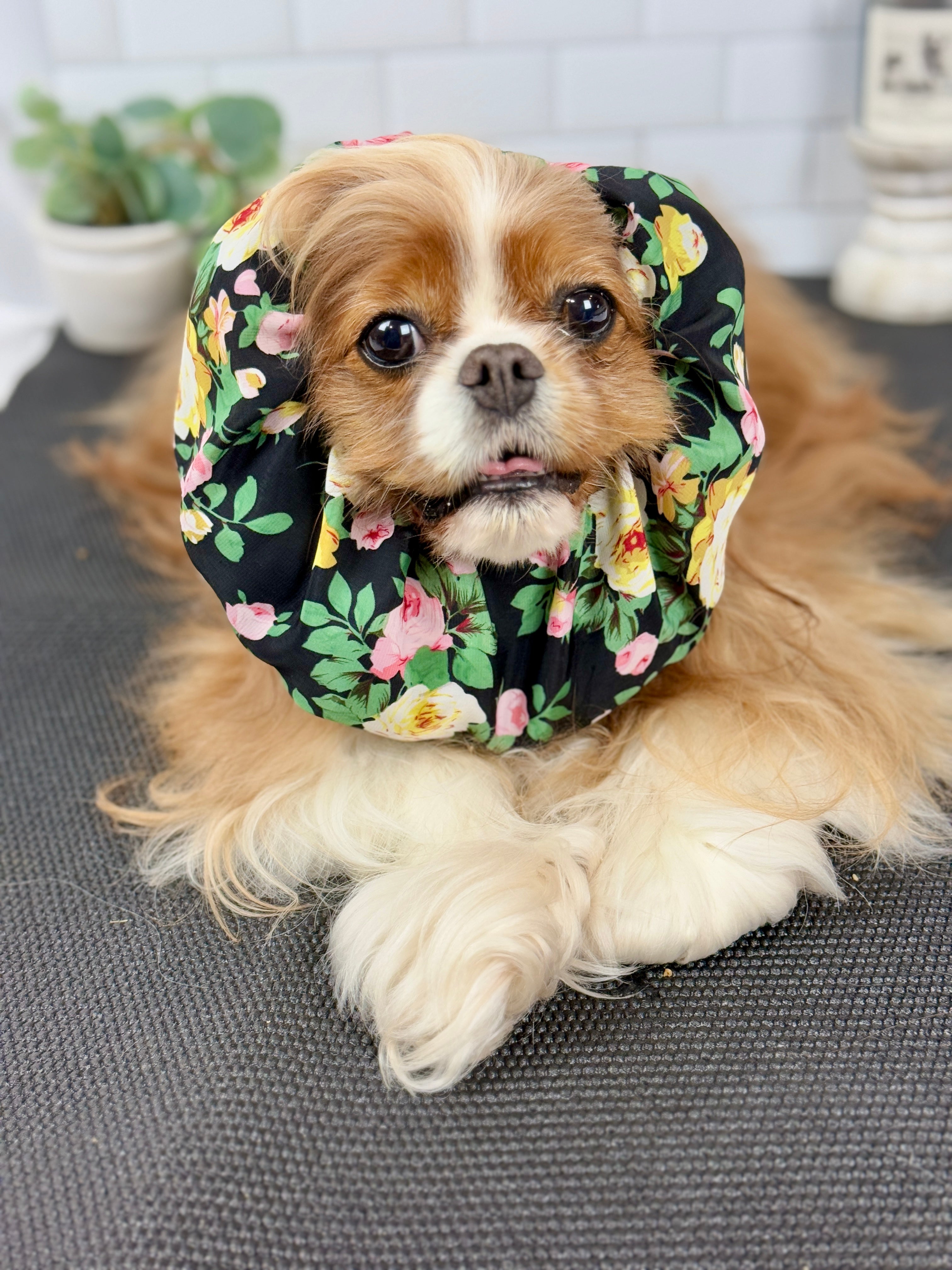 The Long-Ear Struggles are Real Snood - Summer Rose