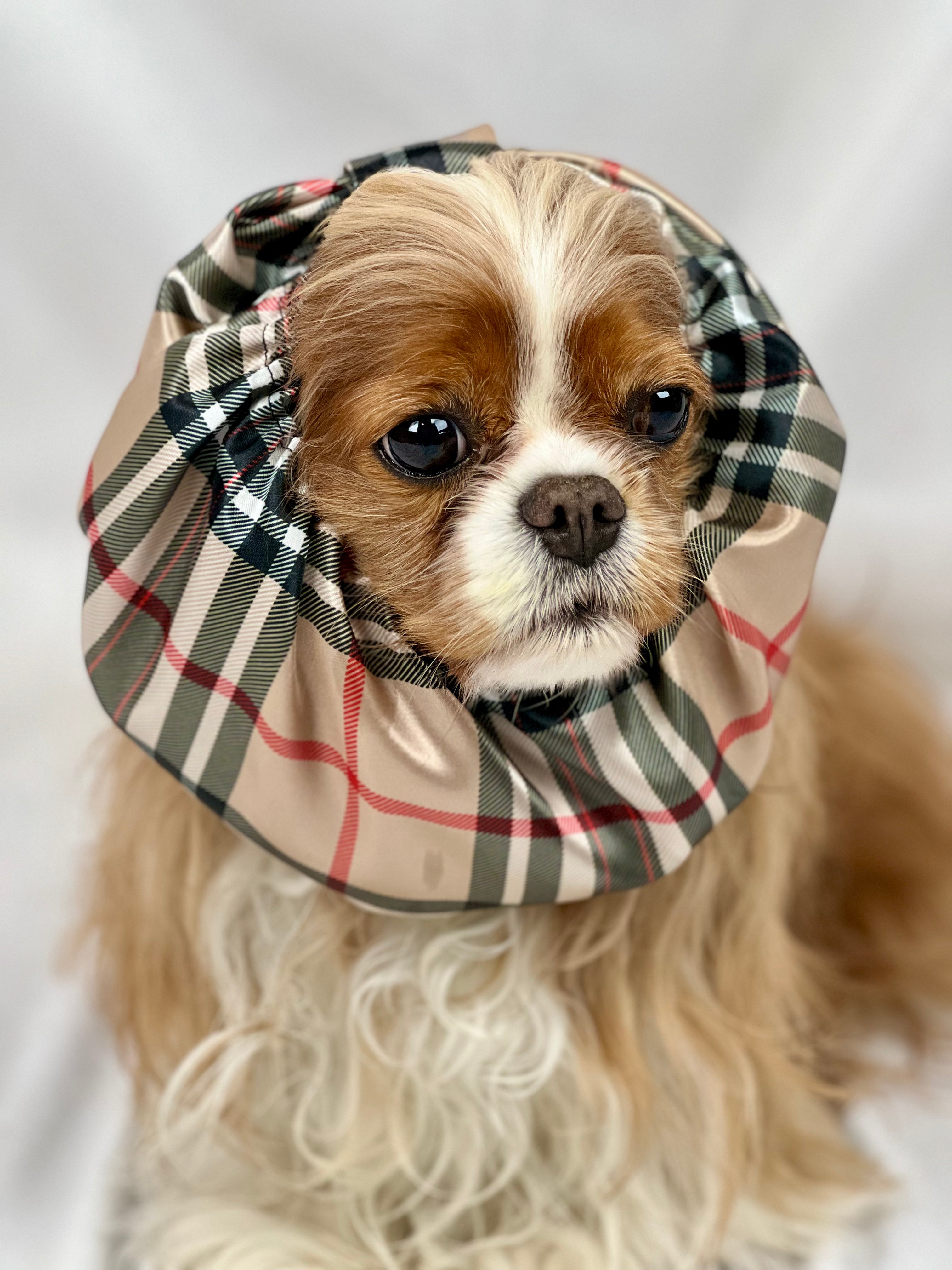 The Long-Ear Struggles are Real Snood - Furberry Plaid