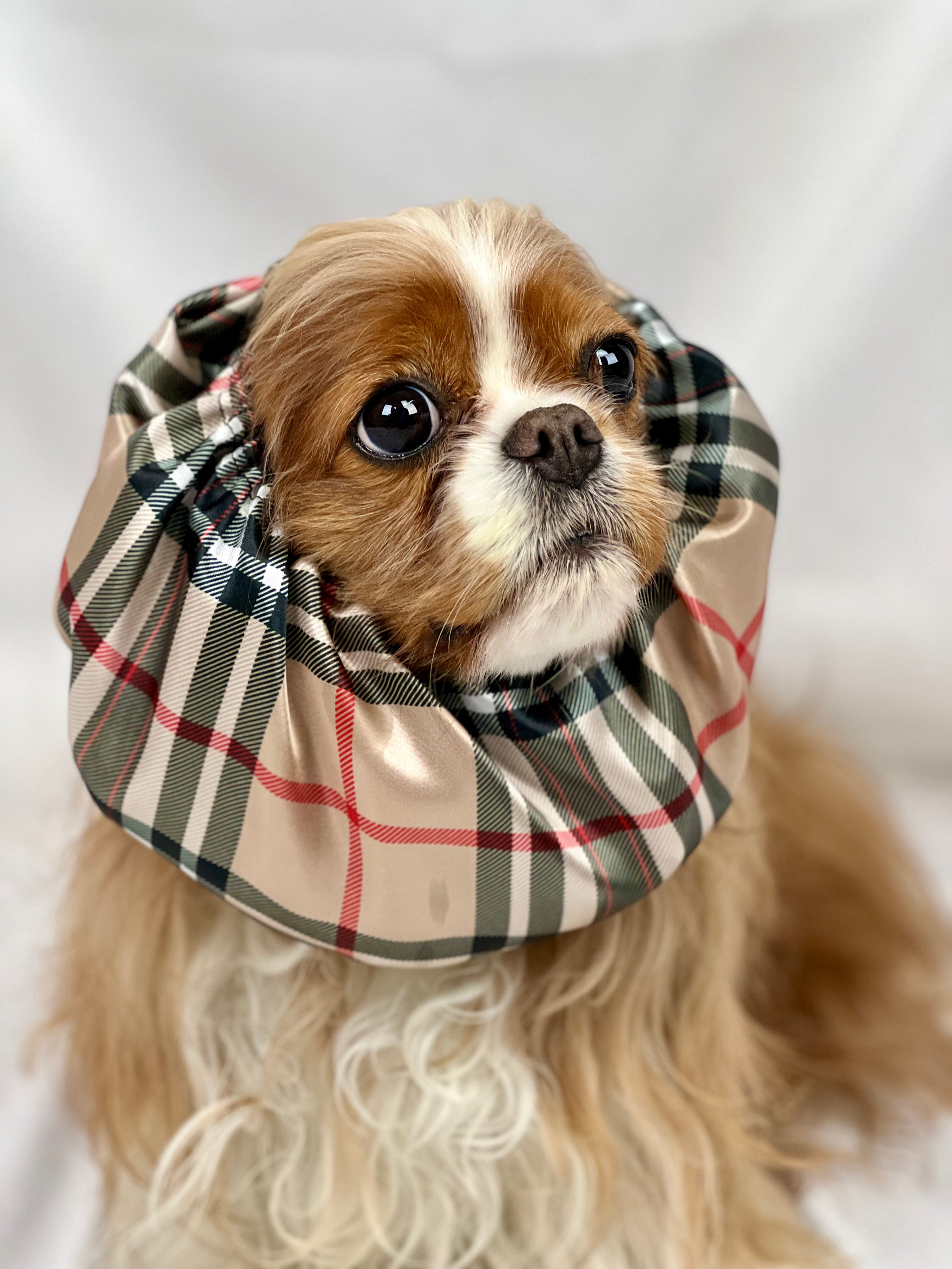 The Long-Ear Struggles are Real Snood - Furberry Plaid