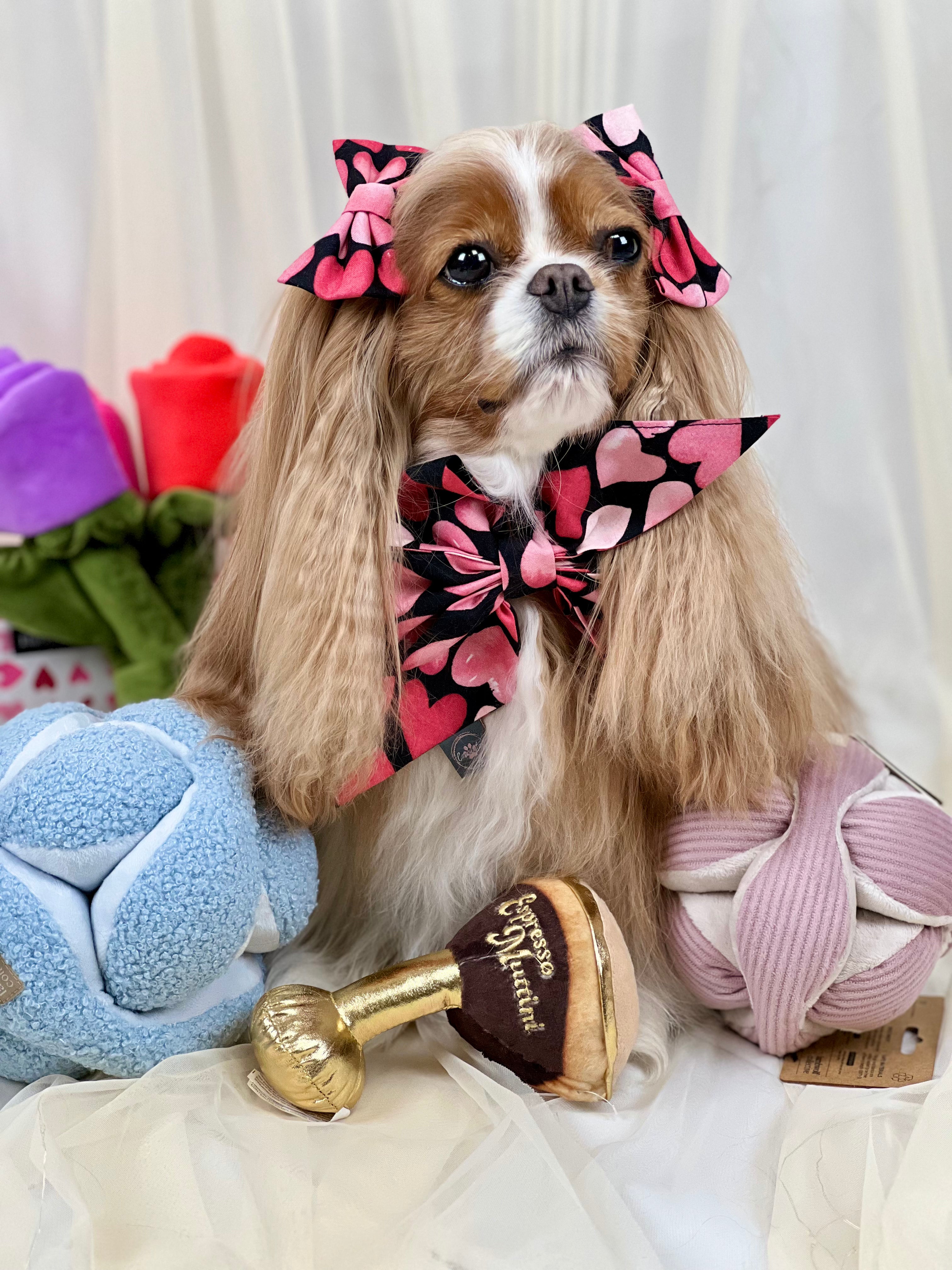 Monti*//Enrichment Toy