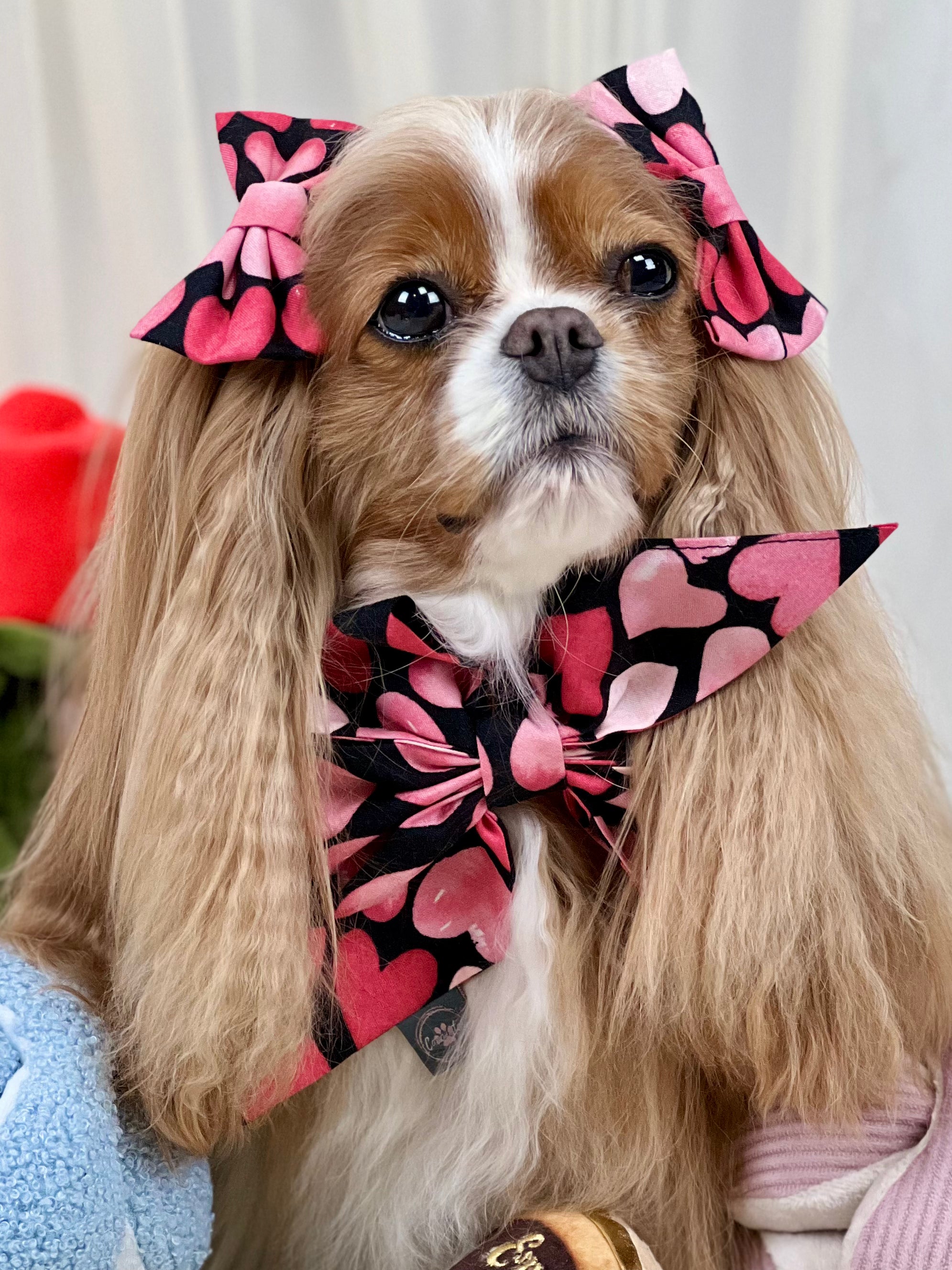 Accessories are a Must Hair Bows - Hugs & Kisses and Love Struck