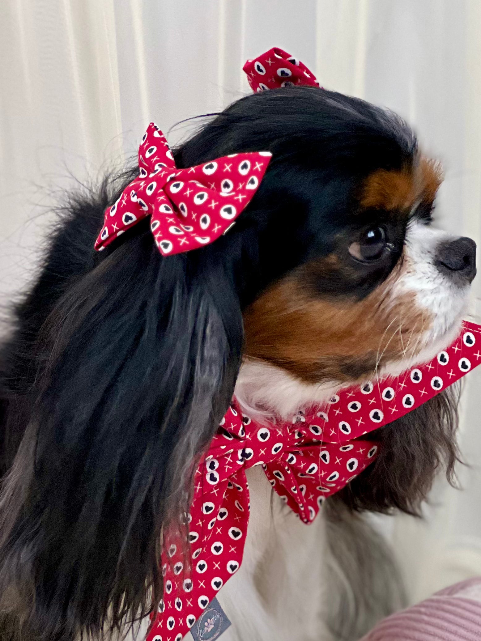 Accessories are a Must Hair Bows - Hugs & Kisses and Love Struck