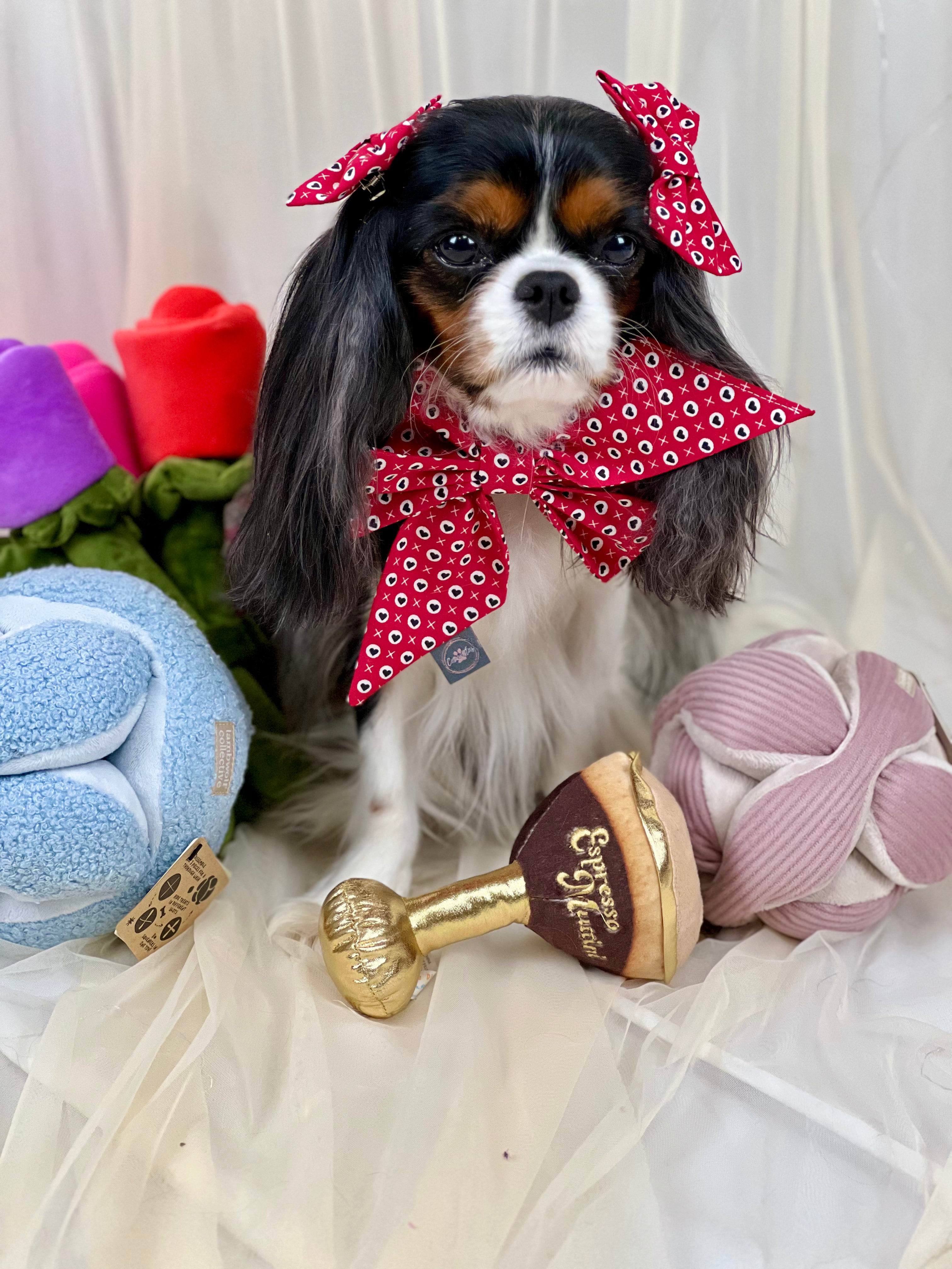 Strike a Pose Bow - Hugs & Kisses and Love Struck