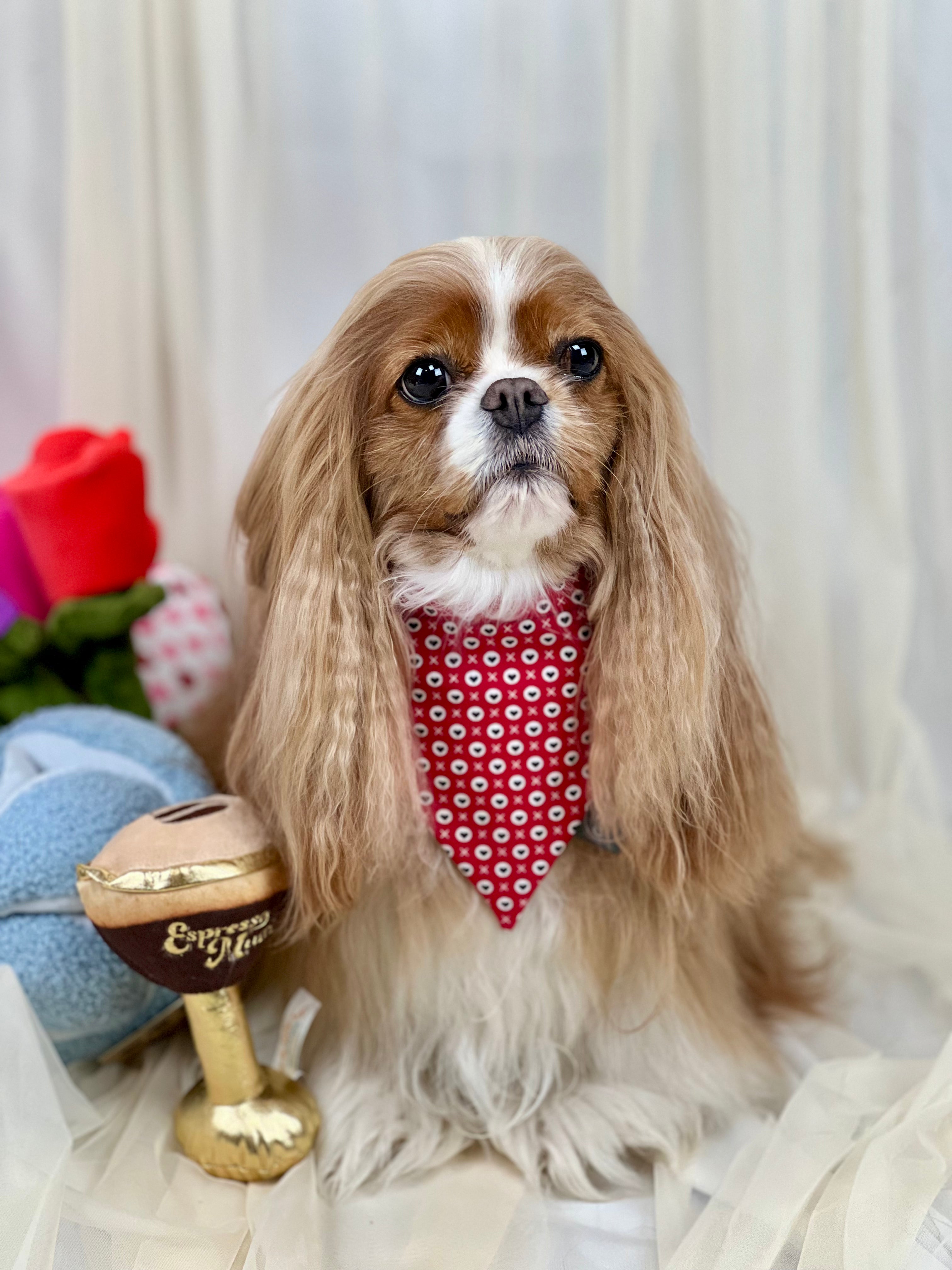 Intermission Wardrobe Change Reversible Bandana - Hugs & Kisses and Love Struck
