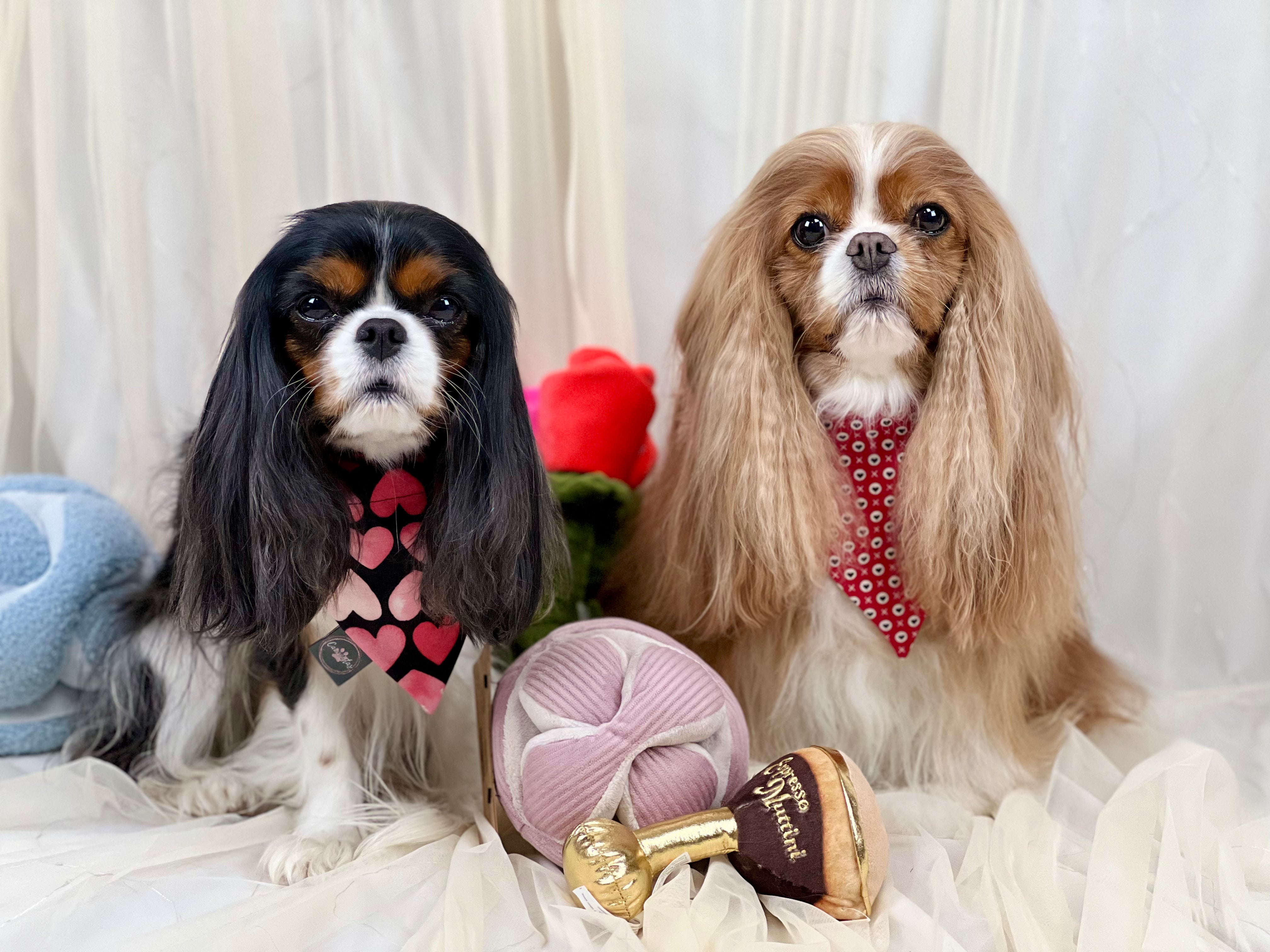 Intermission Wardrobe Change Reversible Bandana - Hugs & Kisses and Love Struck