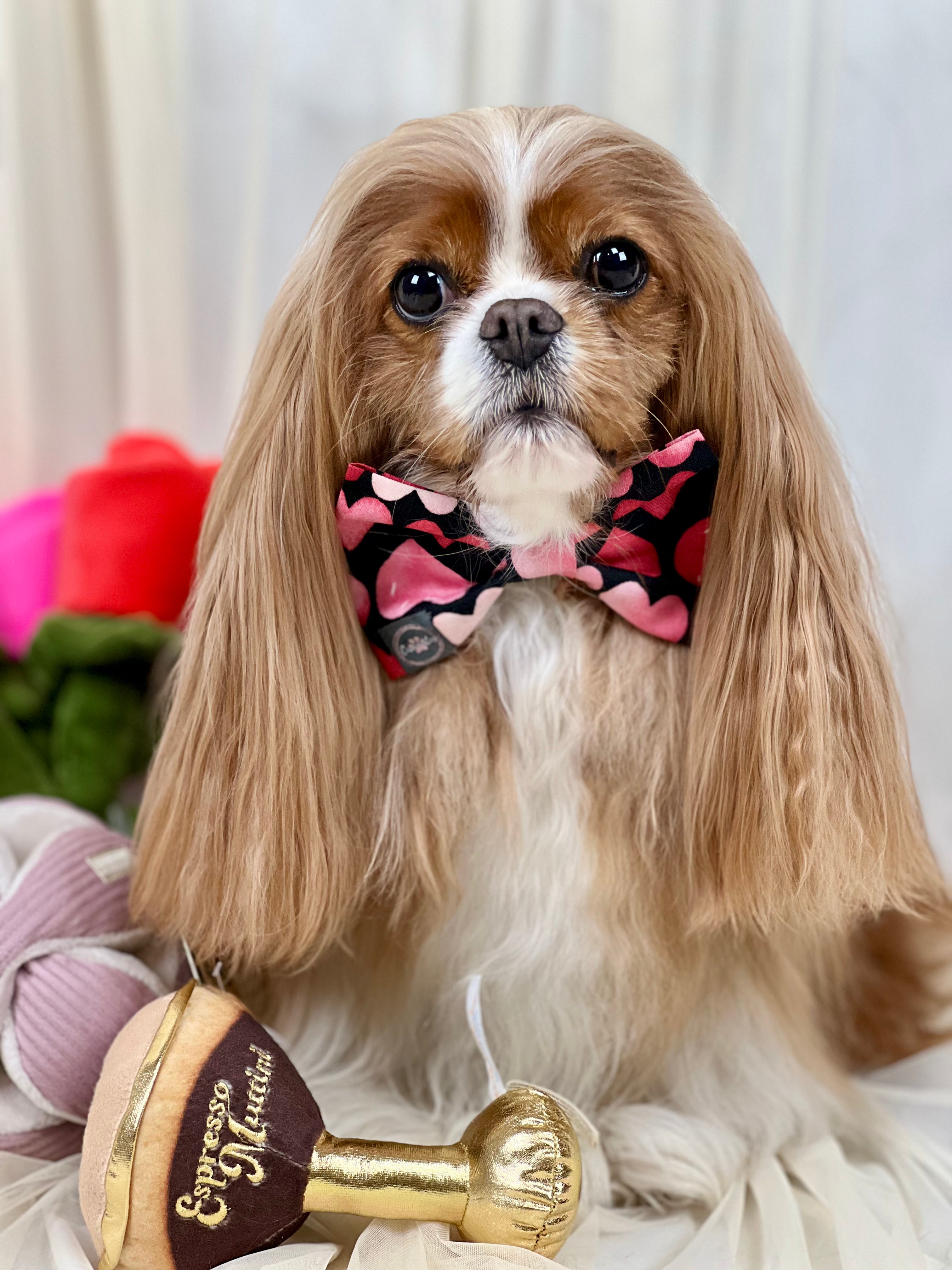 Dress to Impress Bow Tie - Hugs & Kisses and Love Struck