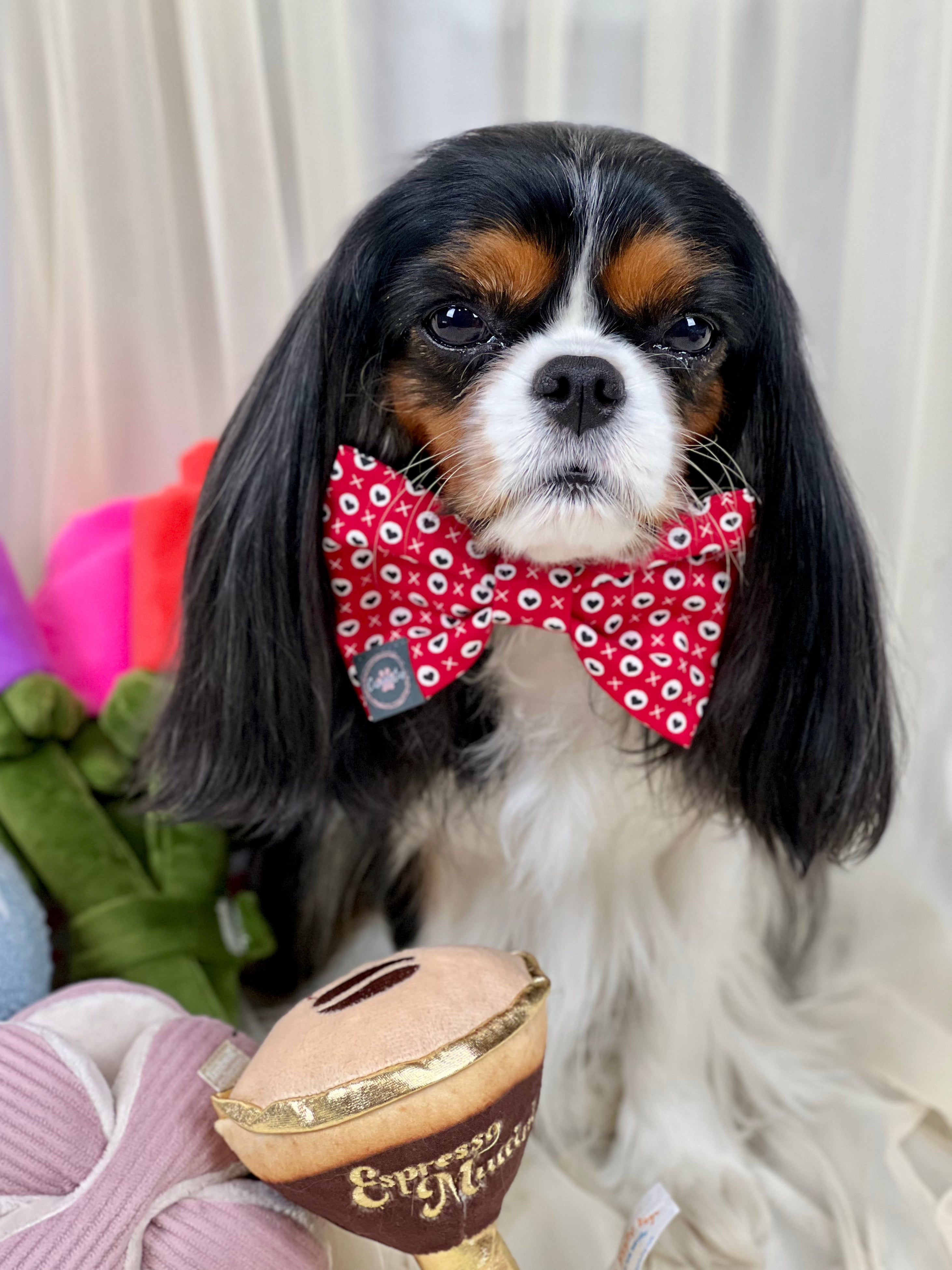 Dress to Impress Bow Tie - Hugs & Kisses and Love Struck