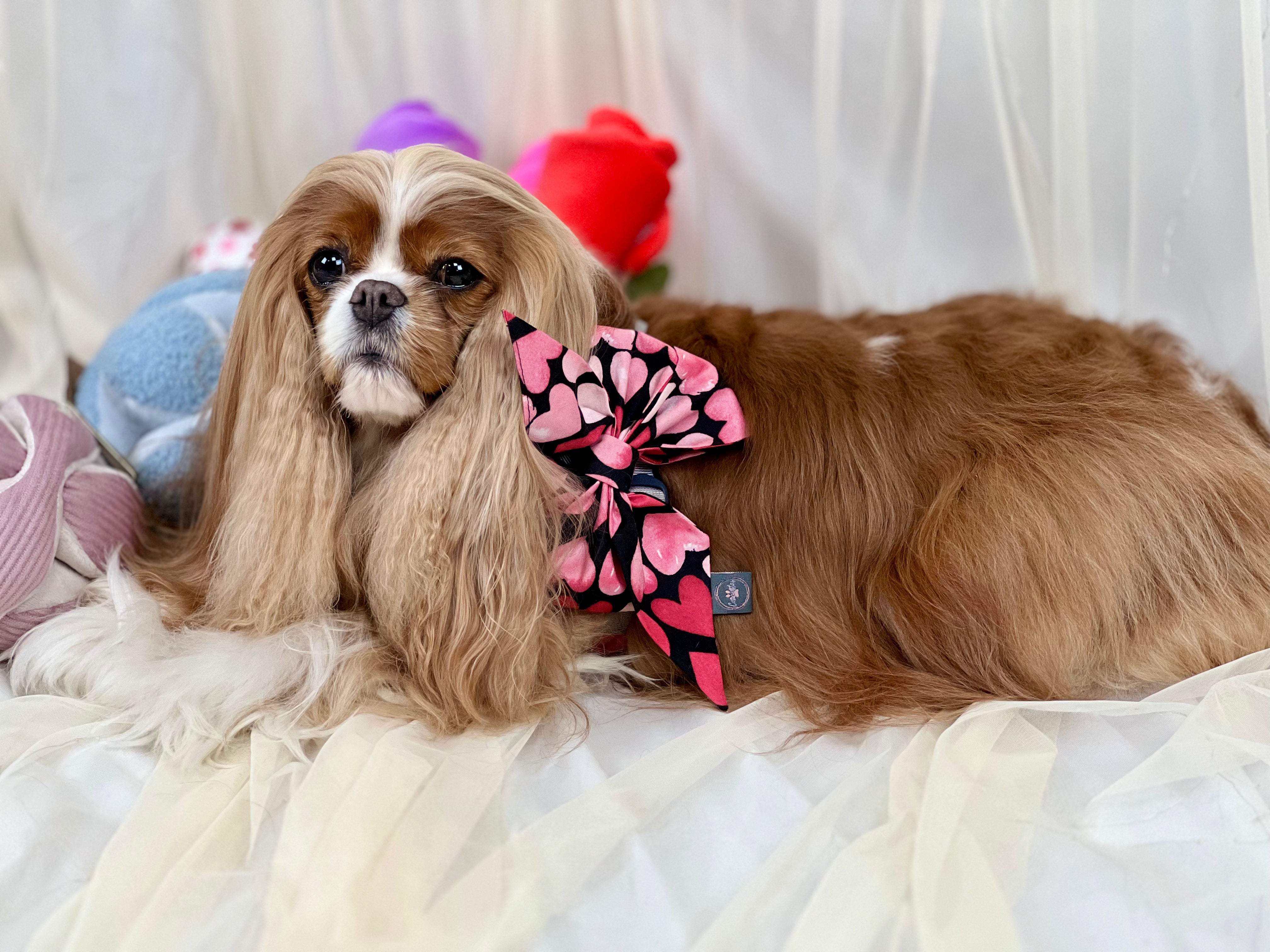 Strike a Pose Bow - Hugs & Kisses and Love Struck