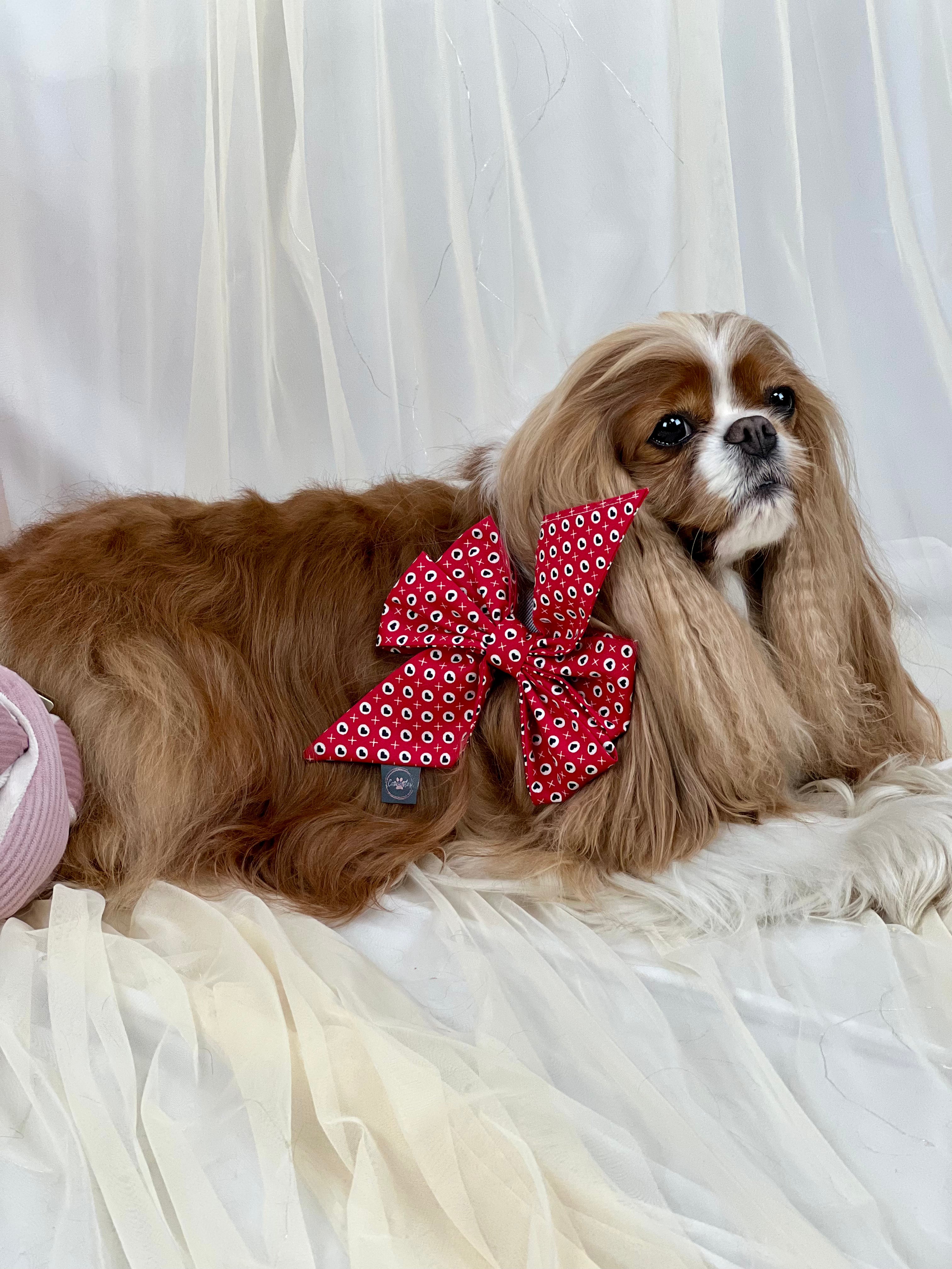 Strike a Pose Bow - Hugs & Kisses and Love Struck