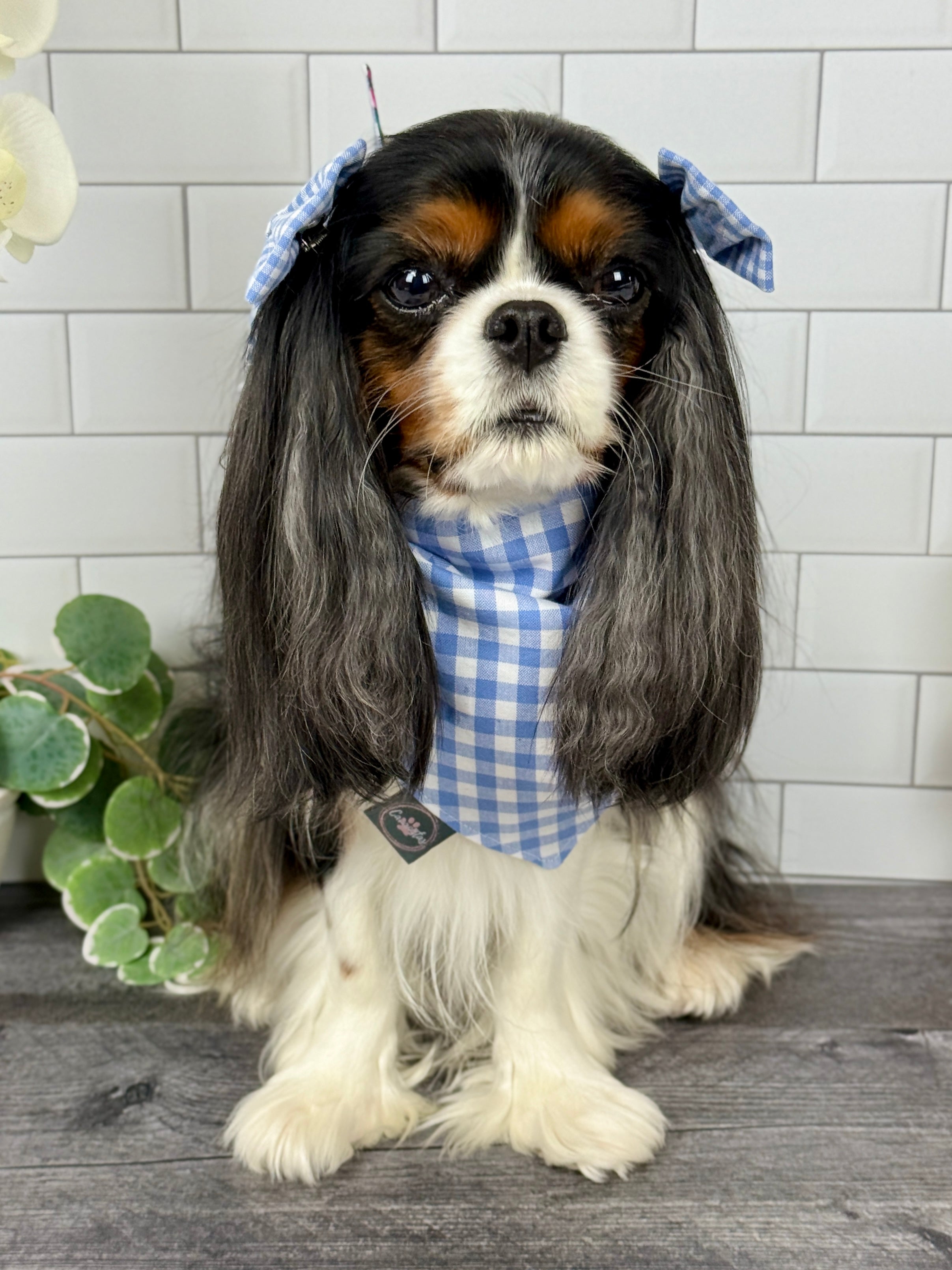 Intermission Wardrobe Change Reversible Bandana - Wildflower Meadow & Carolina Sky Gingham