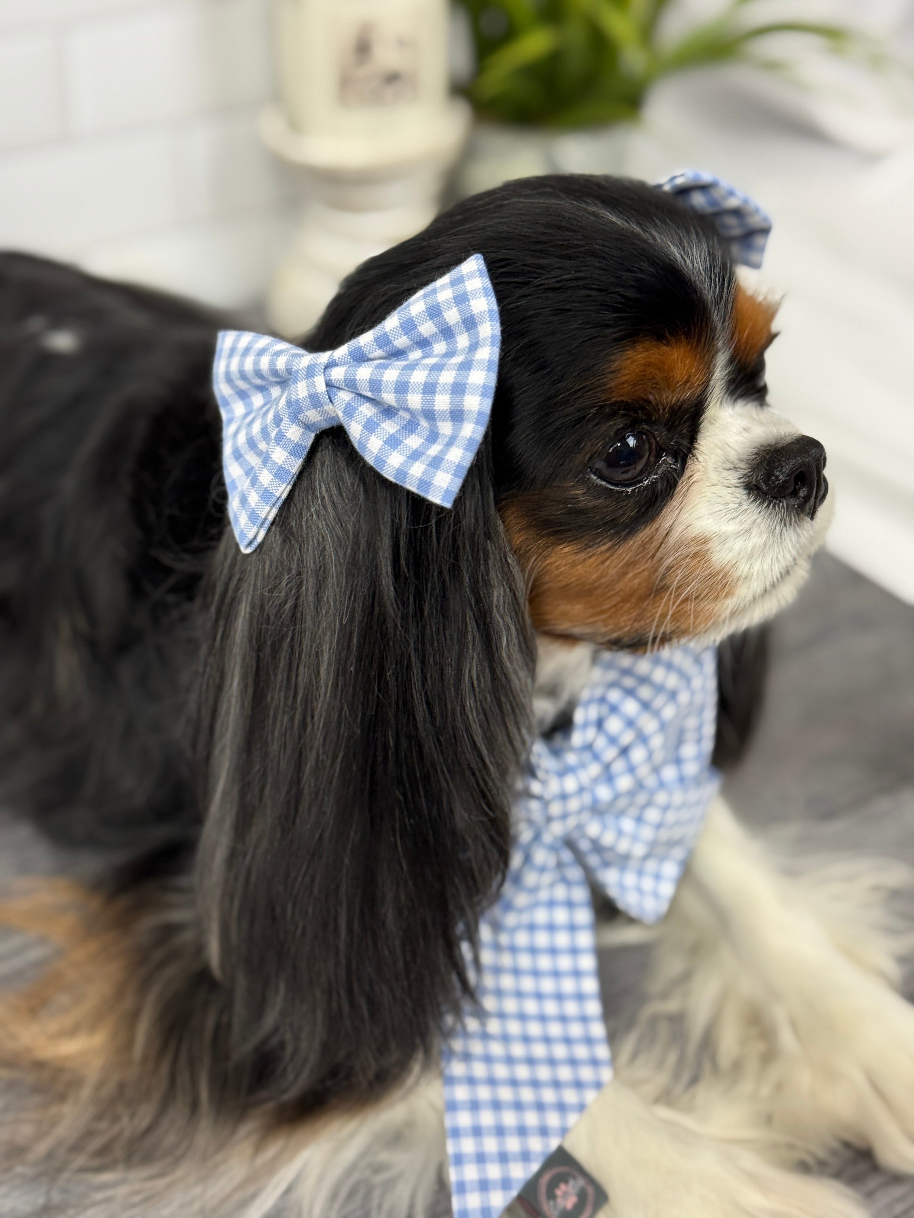 Accessories are a Must Hair Bows - Wildflower Meadow & Carolina Skies Gingham