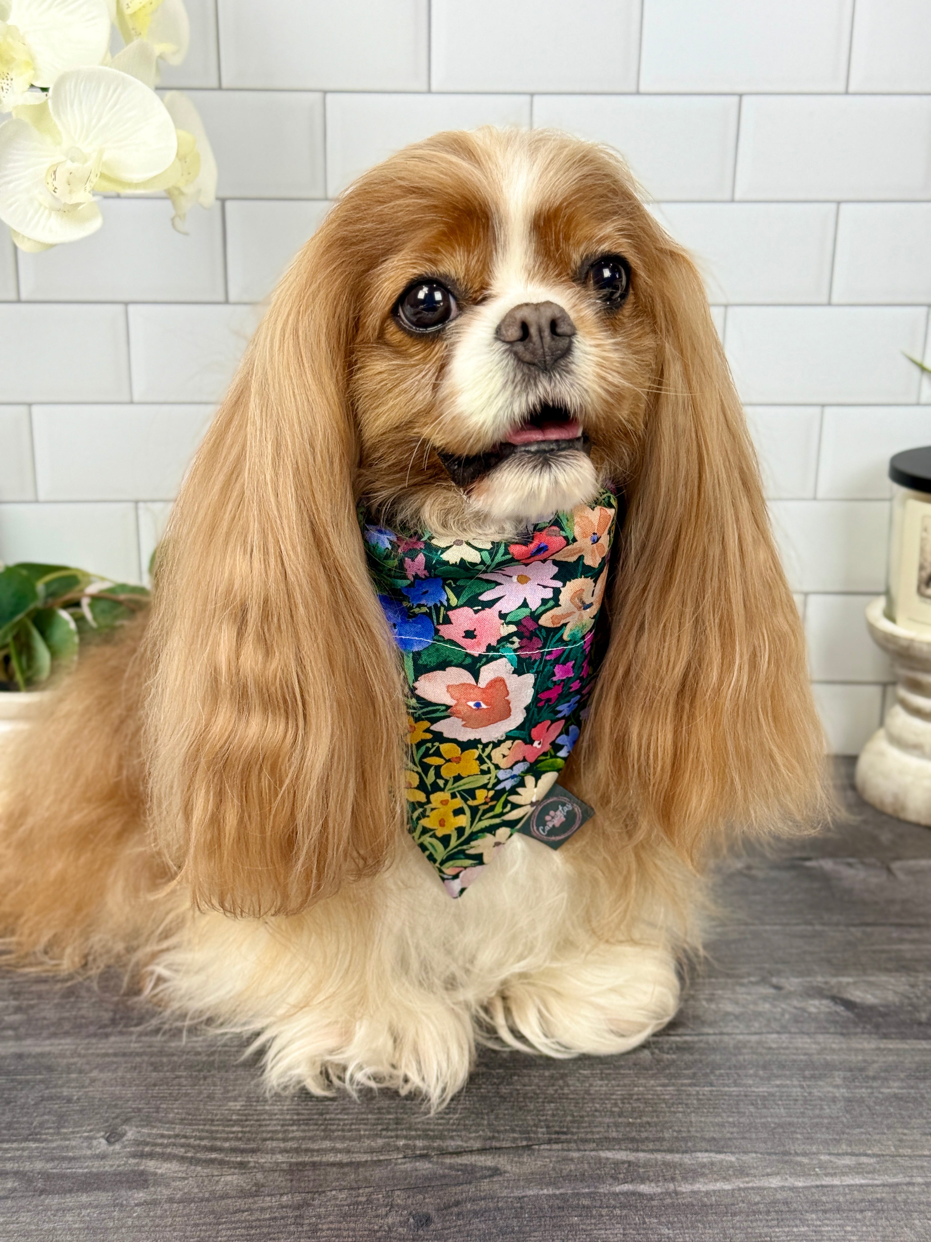 Intermission Wardrobe Change Reversible Bandana - Wildflower Meadow & Carolina Sky Gingham