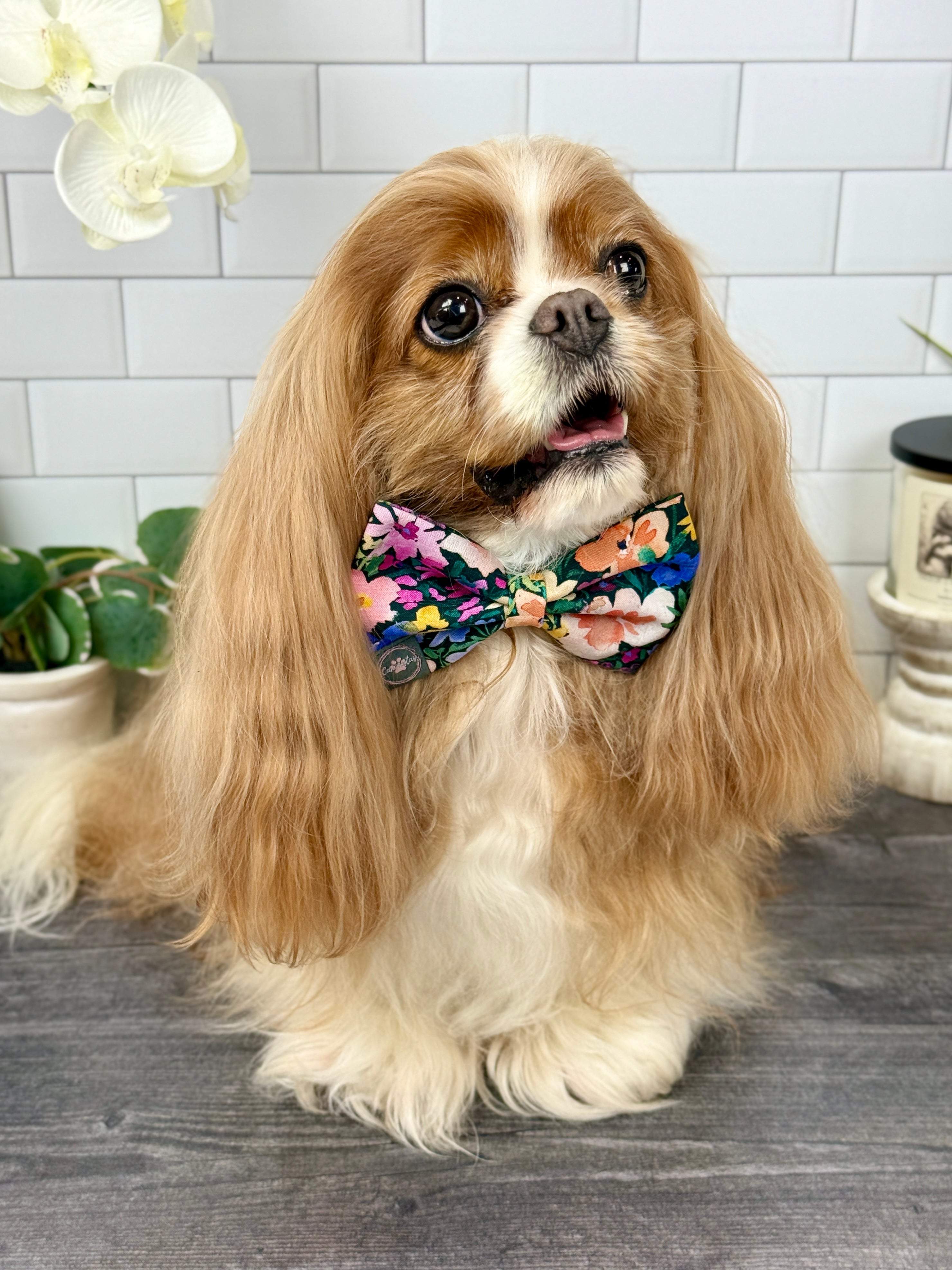 Dress to Impress Bow-Tie - Wildflower Meadow & Carolina Skies Gingham