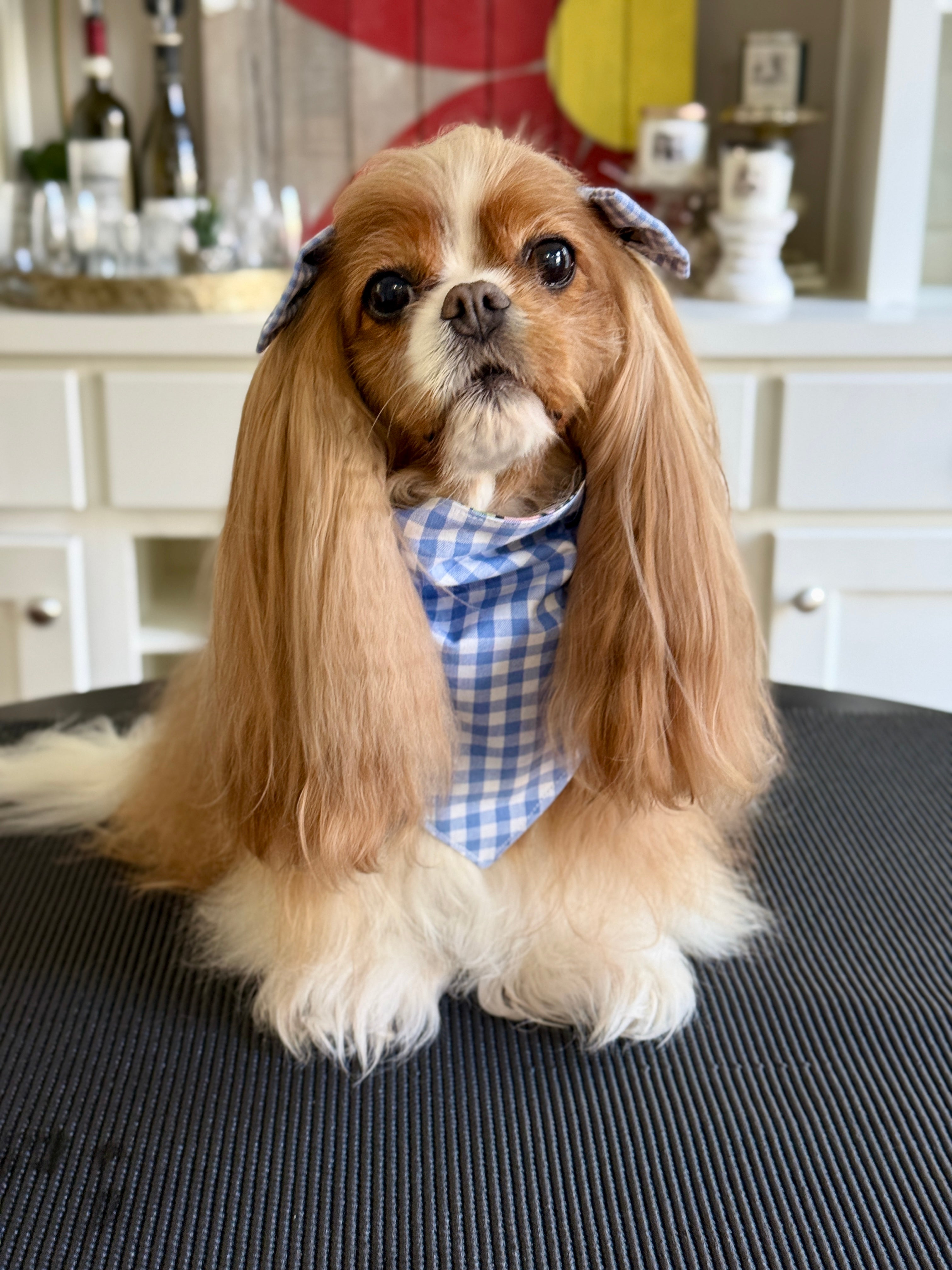 Intermission Wardrobe Change Reversible Bandana - Wildflower Meadow & Carolina Sky Gingham
