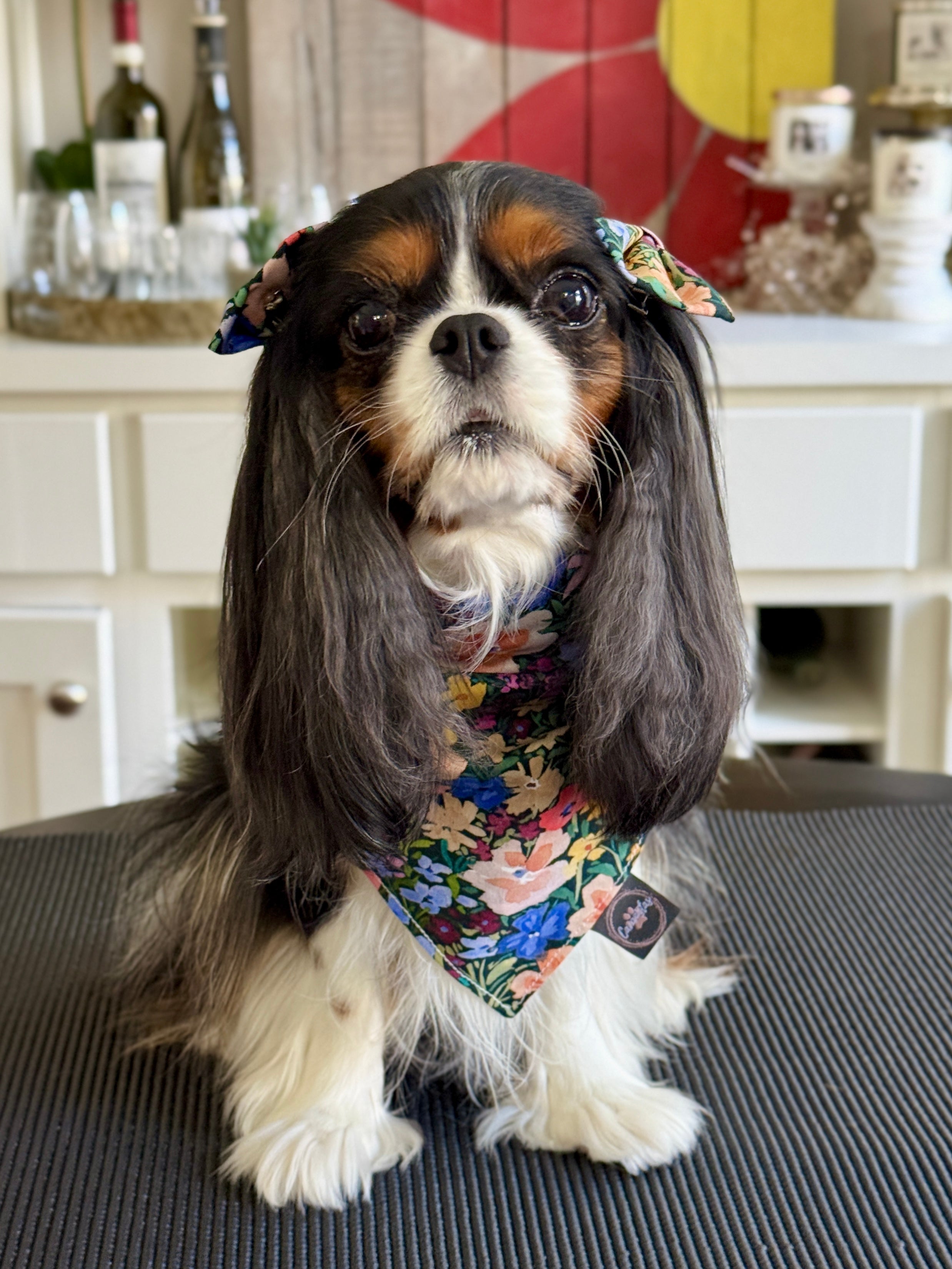 Intermission Wardrobe Change Reversible Bandana - Wildflower Meadow & Carolina Sky Gingham