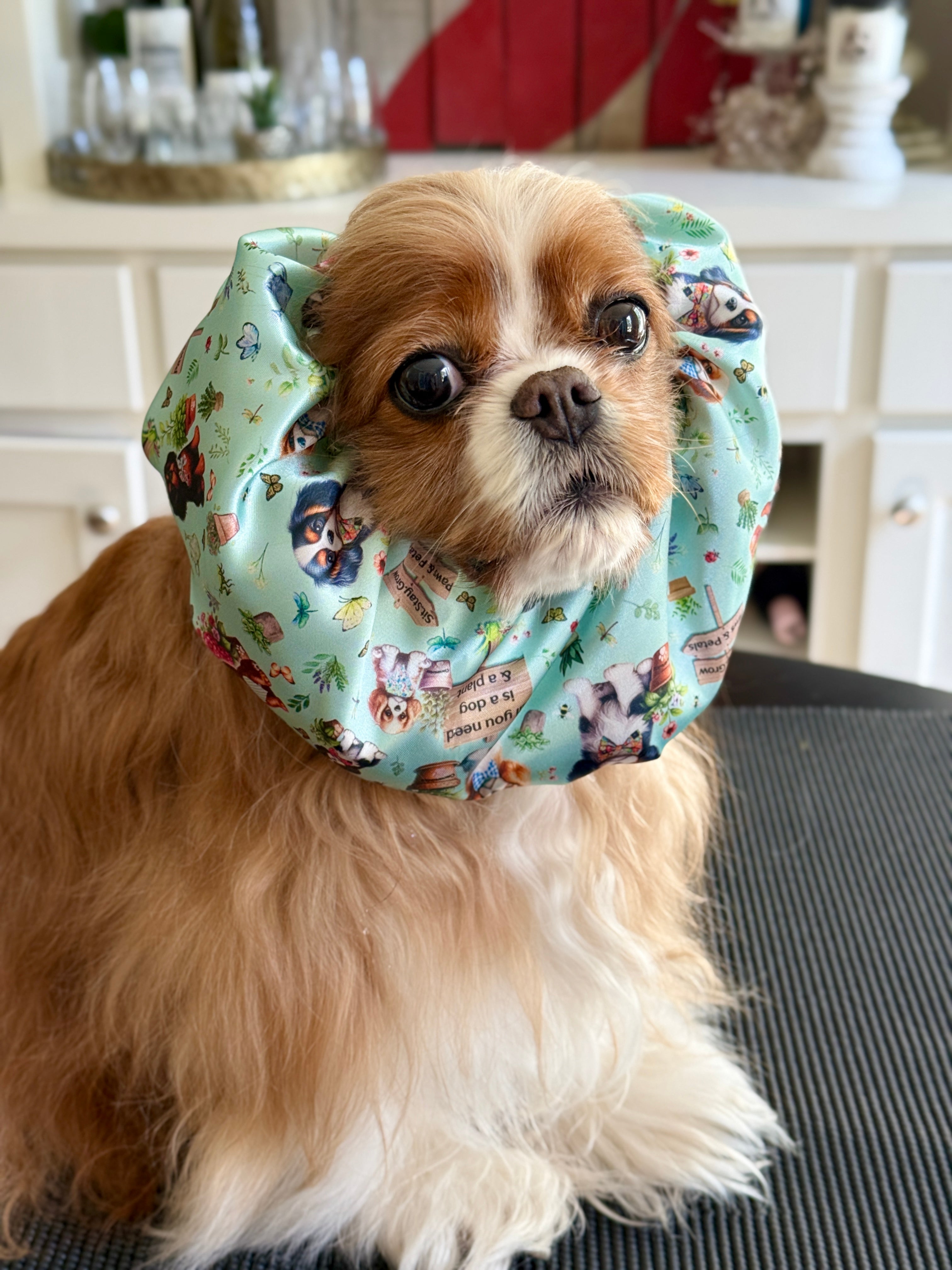 The Long-Ear Struggles are Real Snood - Cavalier Garden Party