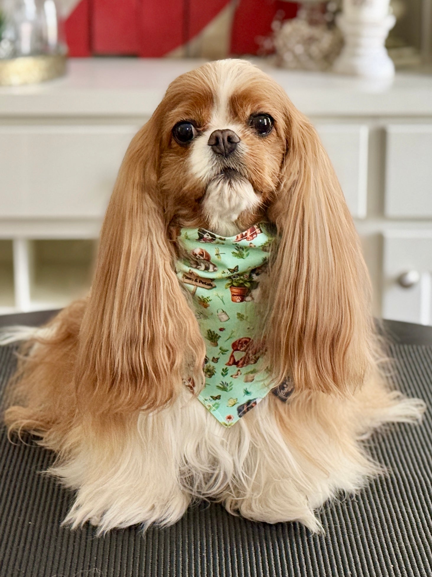 Intermission Wardrobe Change Reversible Bandana - Cavalier Garden Party & Little Garden Friends