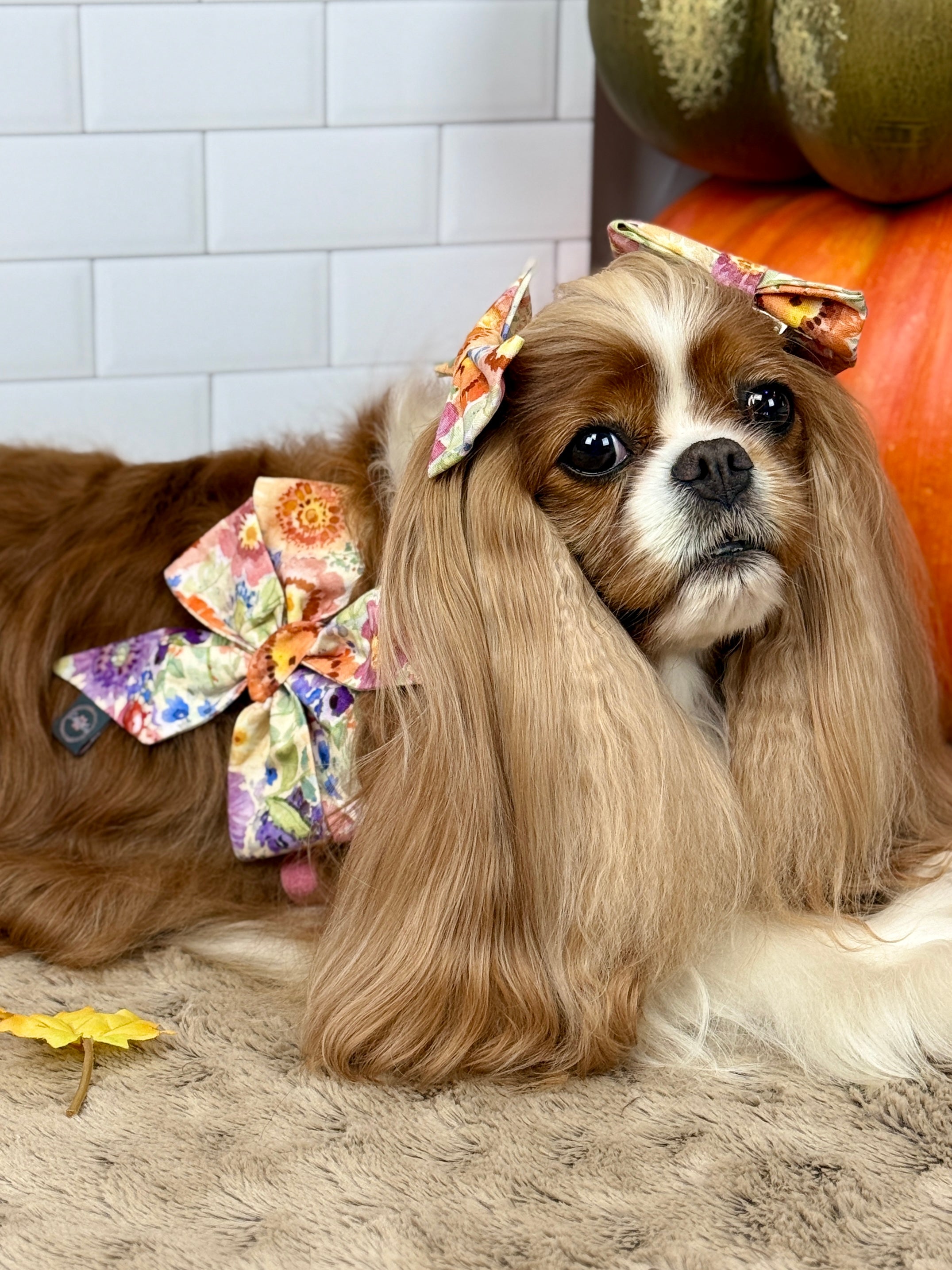 Strike a Pose Bow - Sunset Bouquet or Pumpkin Gingham