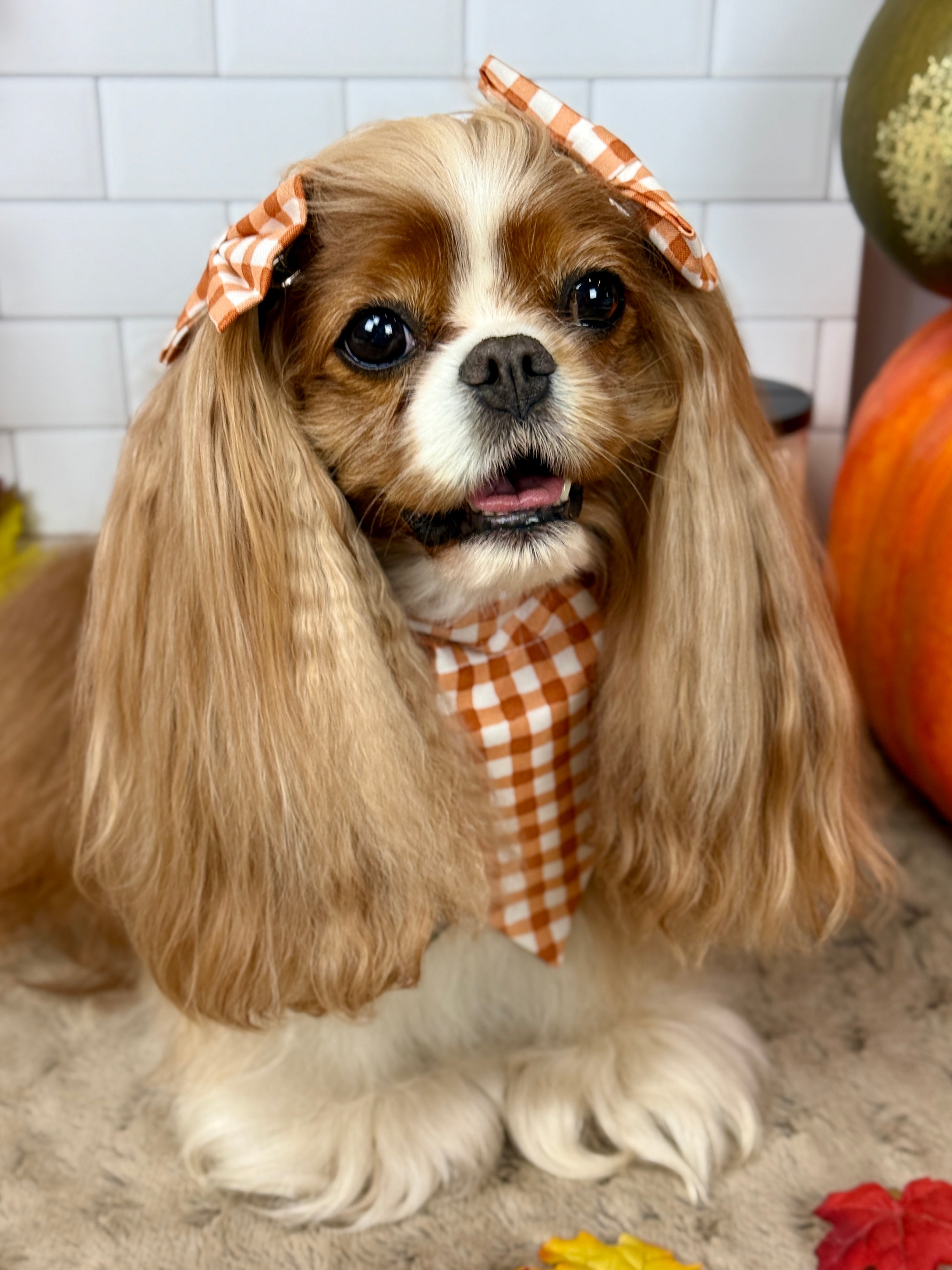 Intermission Wardrobe Change Reversible Bandana - Sunset Bouquet & Pumpkin Gingham