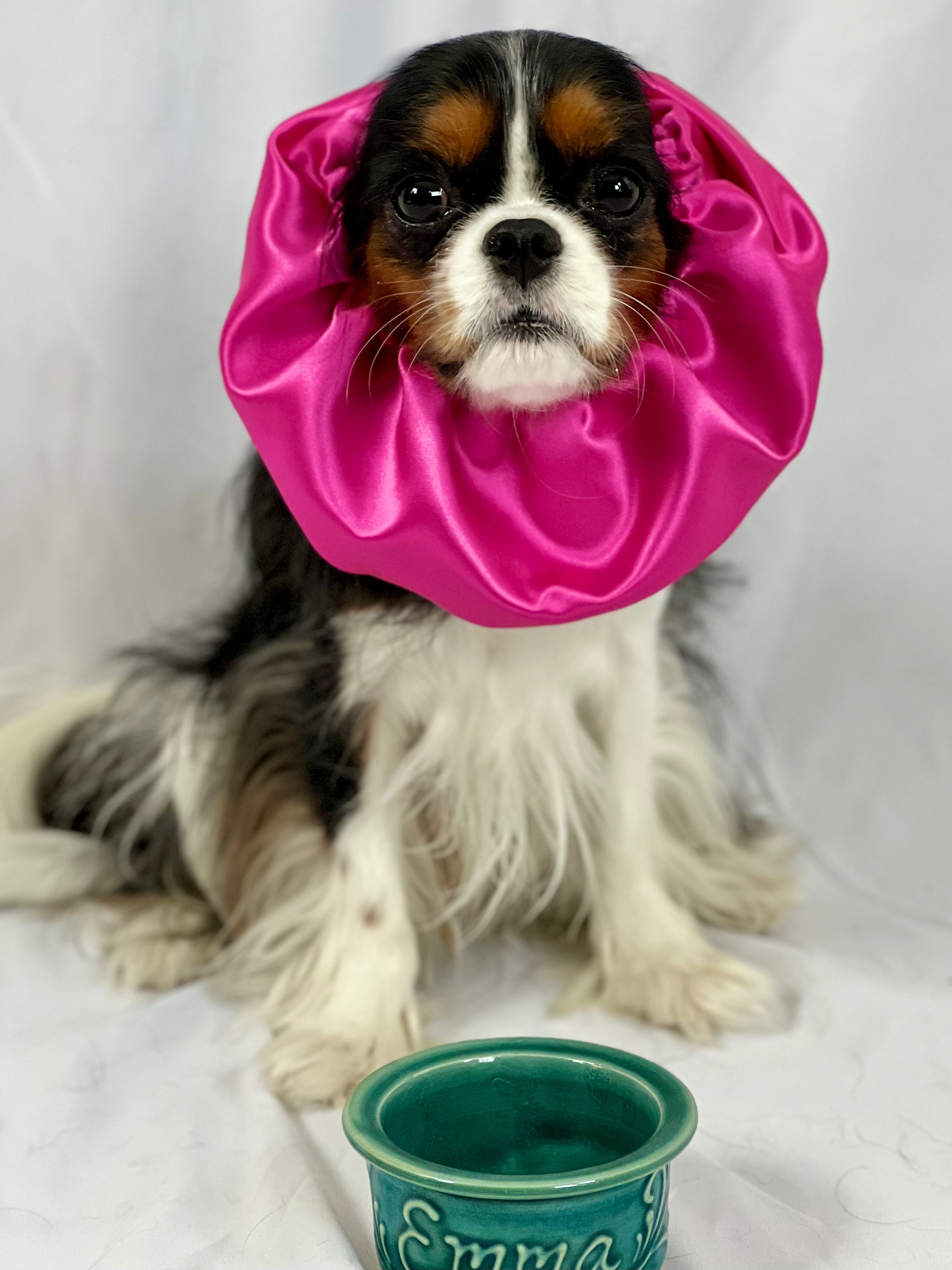 The Long Ear Struggles are Real Snood - Flashy Fuchsia