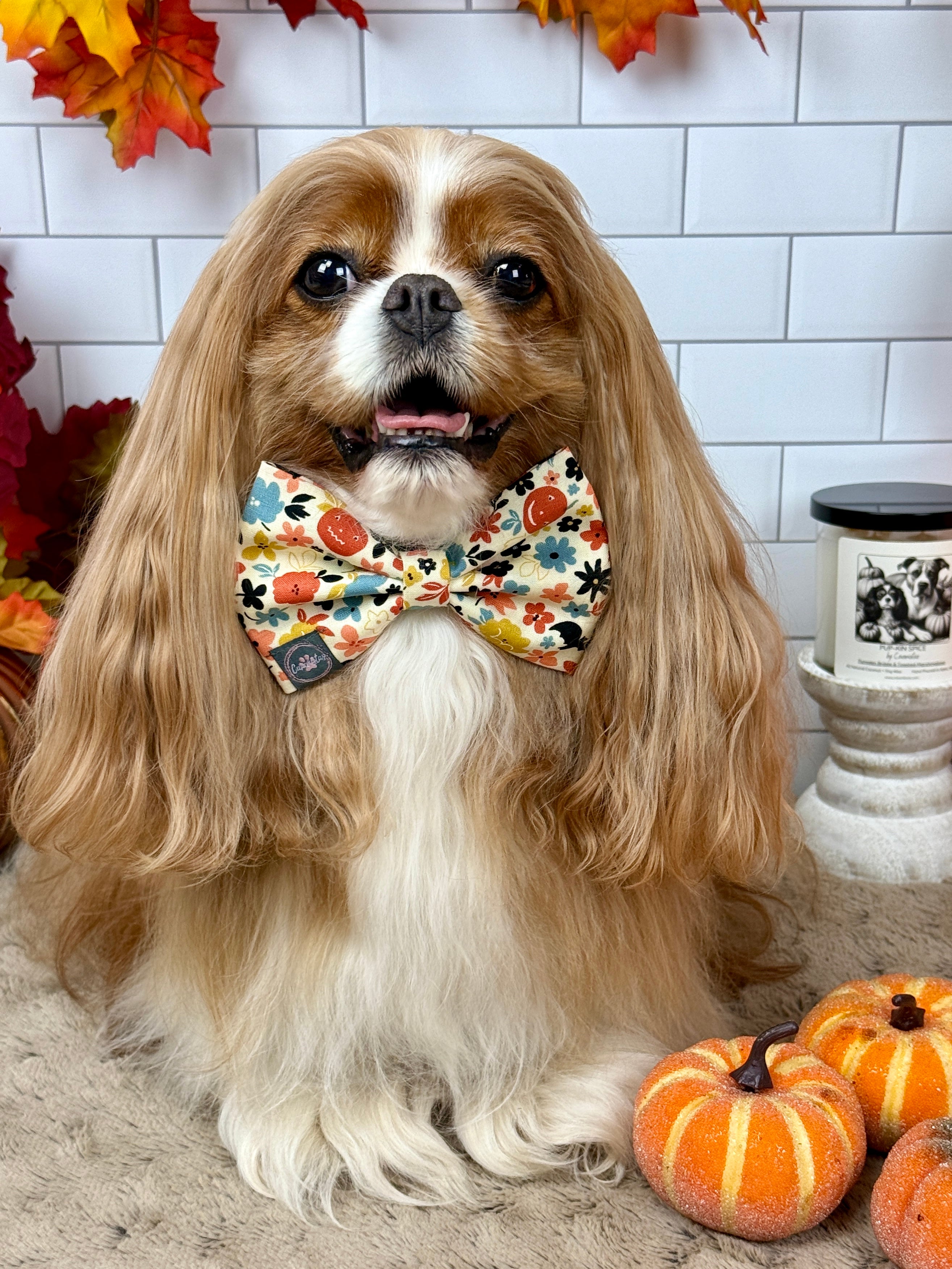 Strike a Pose Bow - Sunset Bouquet or Pumpkin Gingham