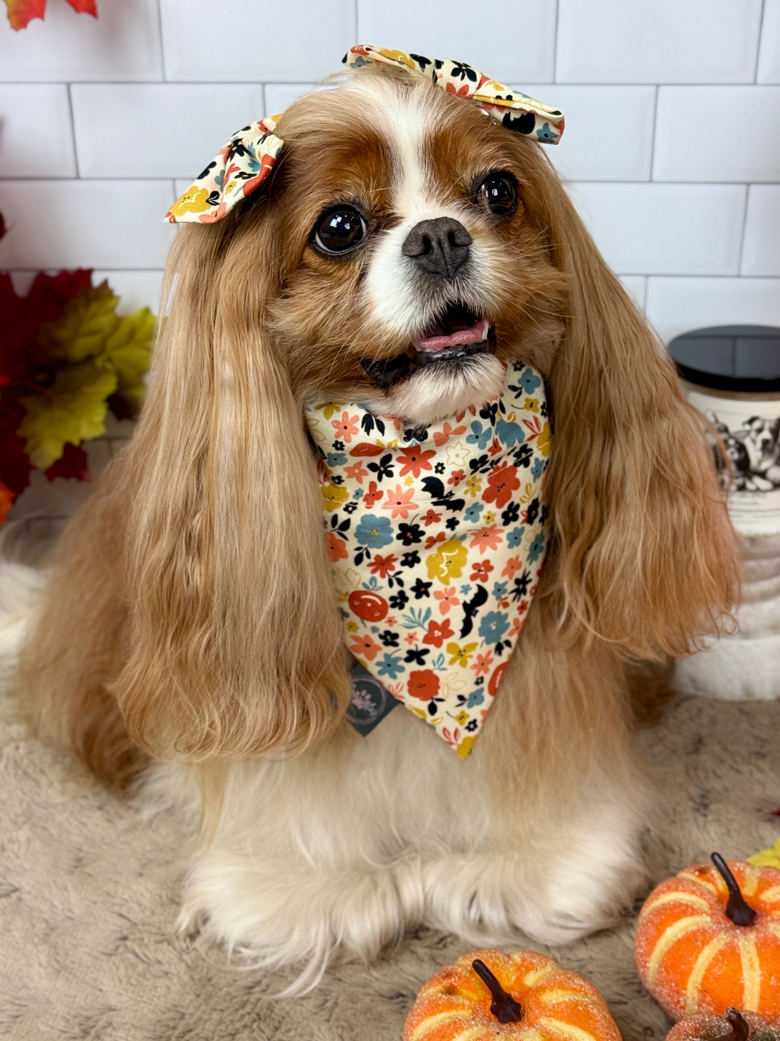 Intermission Wardrobe Change Reversible Bandana - Bat Blooms & Pumpkin Sprinkles