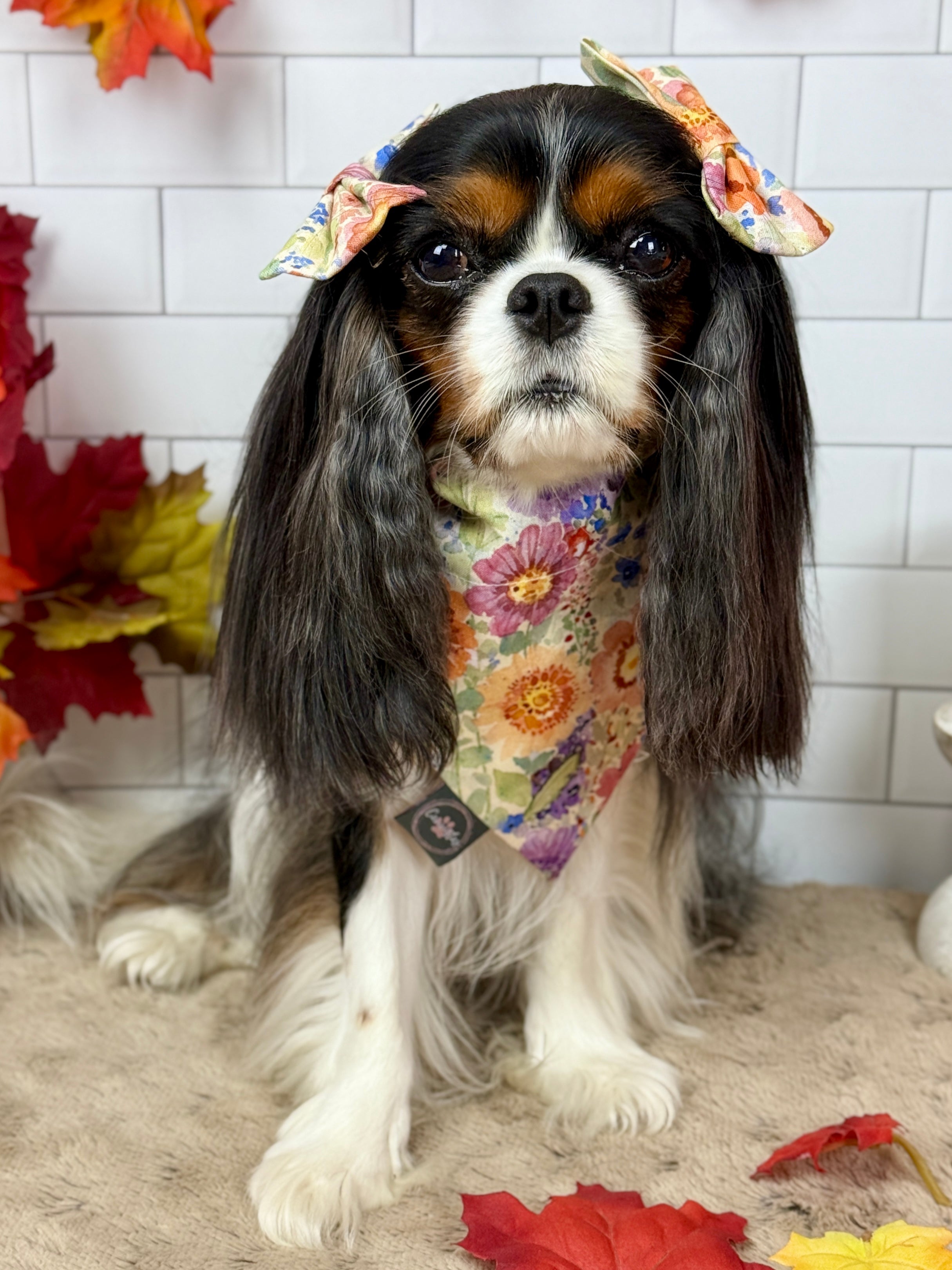 Intermission Wardrobe Change Reversible Bandana - Sunset Bouquet & Pumpkin Gingham