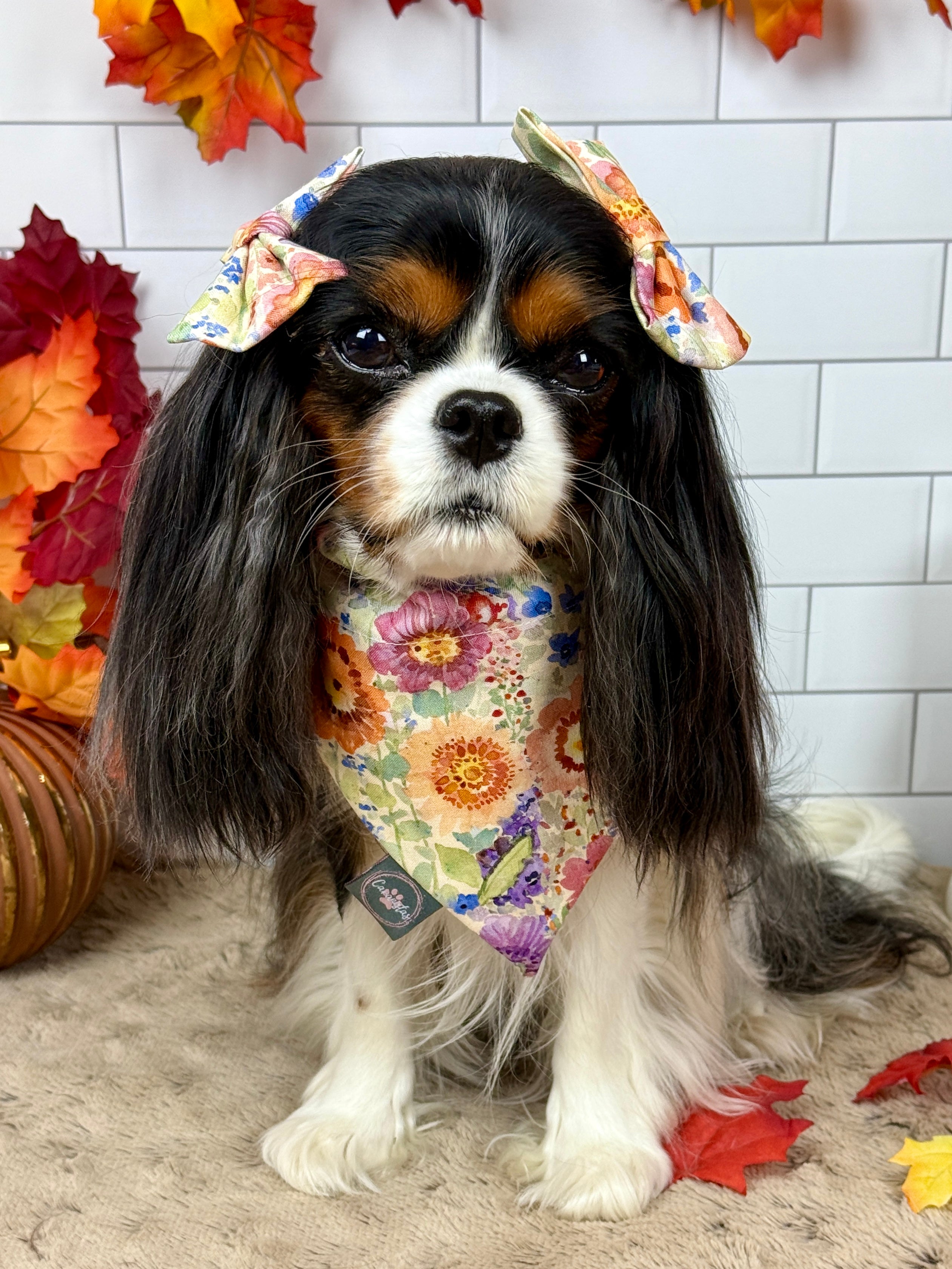 Intermission Wardrobe Change Reversible Bandana - Sunset Bouquet & Pumpkin Gingham