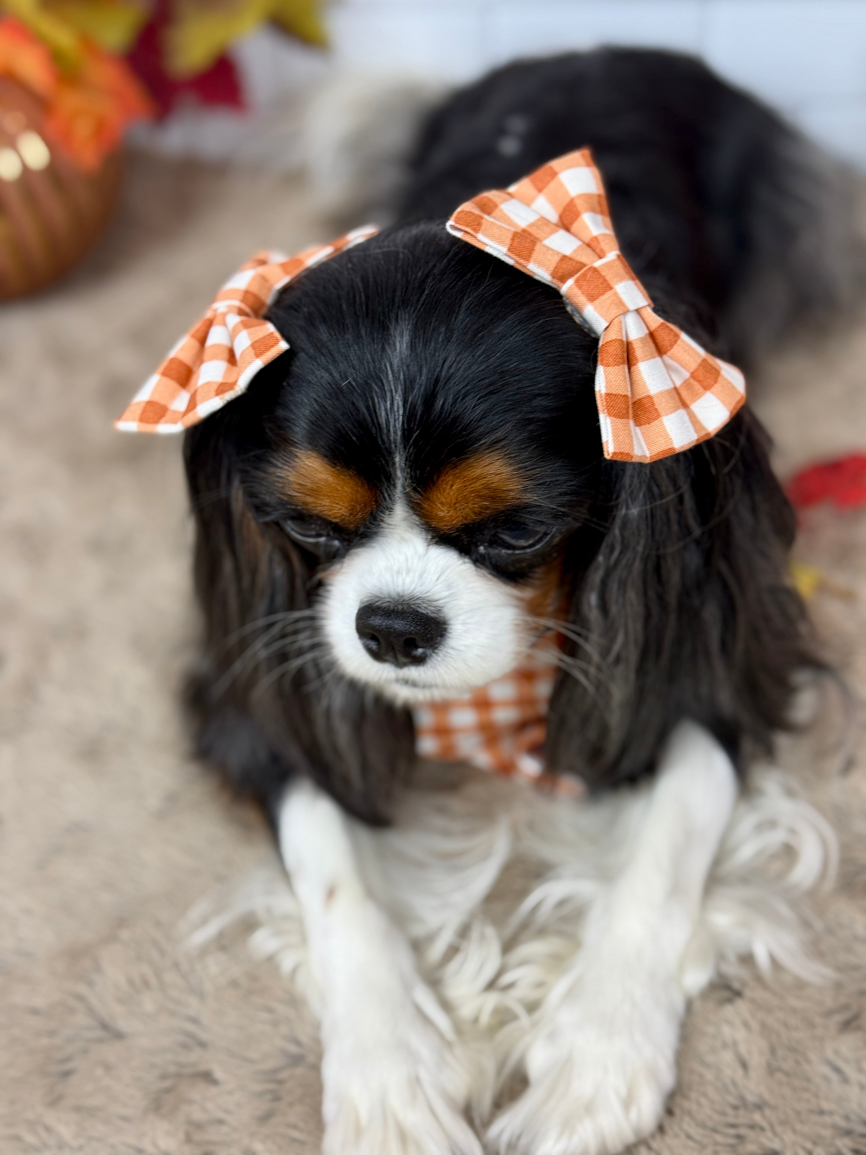 Accessories are a Must Hair Bows - Sunset Bouquet or Pumpkin Gingham