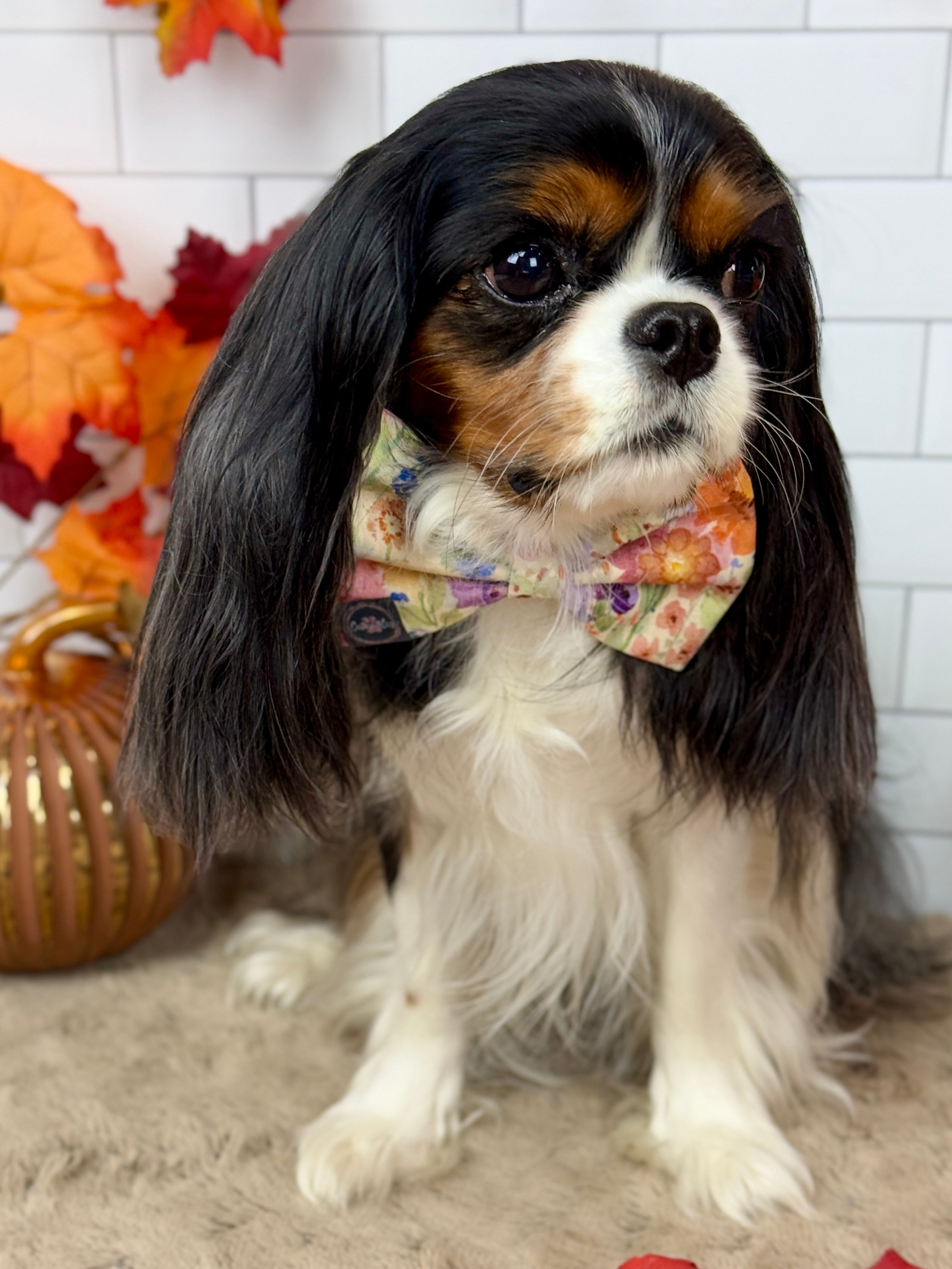 Dress to Impress Bow Tie - Sunset Bouquet or Pumpkin Gingham