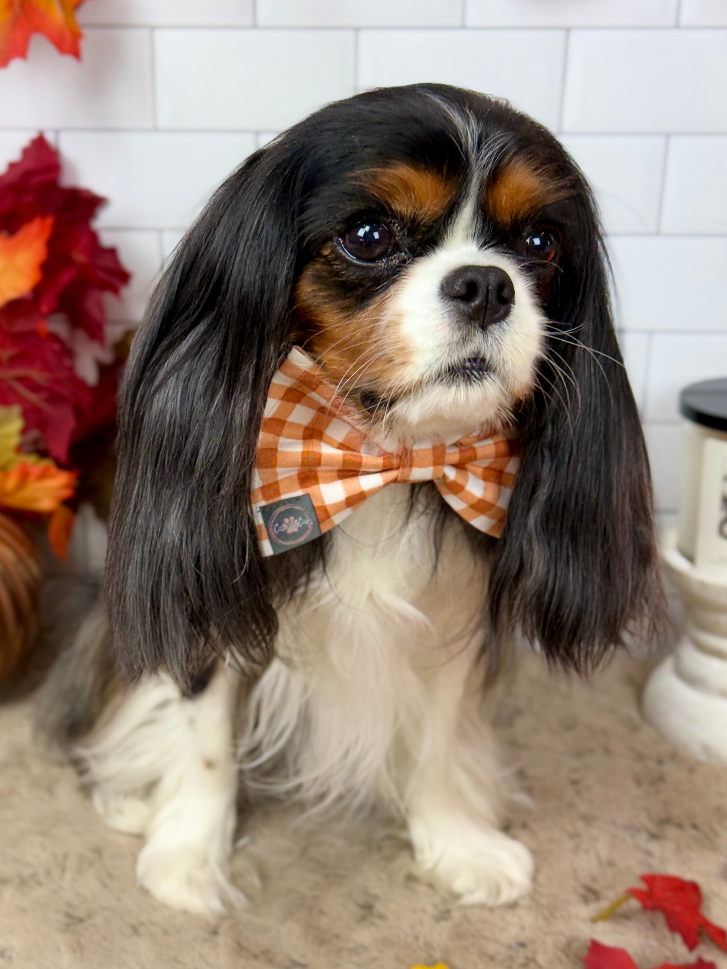 Dress to Impress Bow Tie - Sunset Bouquet or Pumpkin Gingham