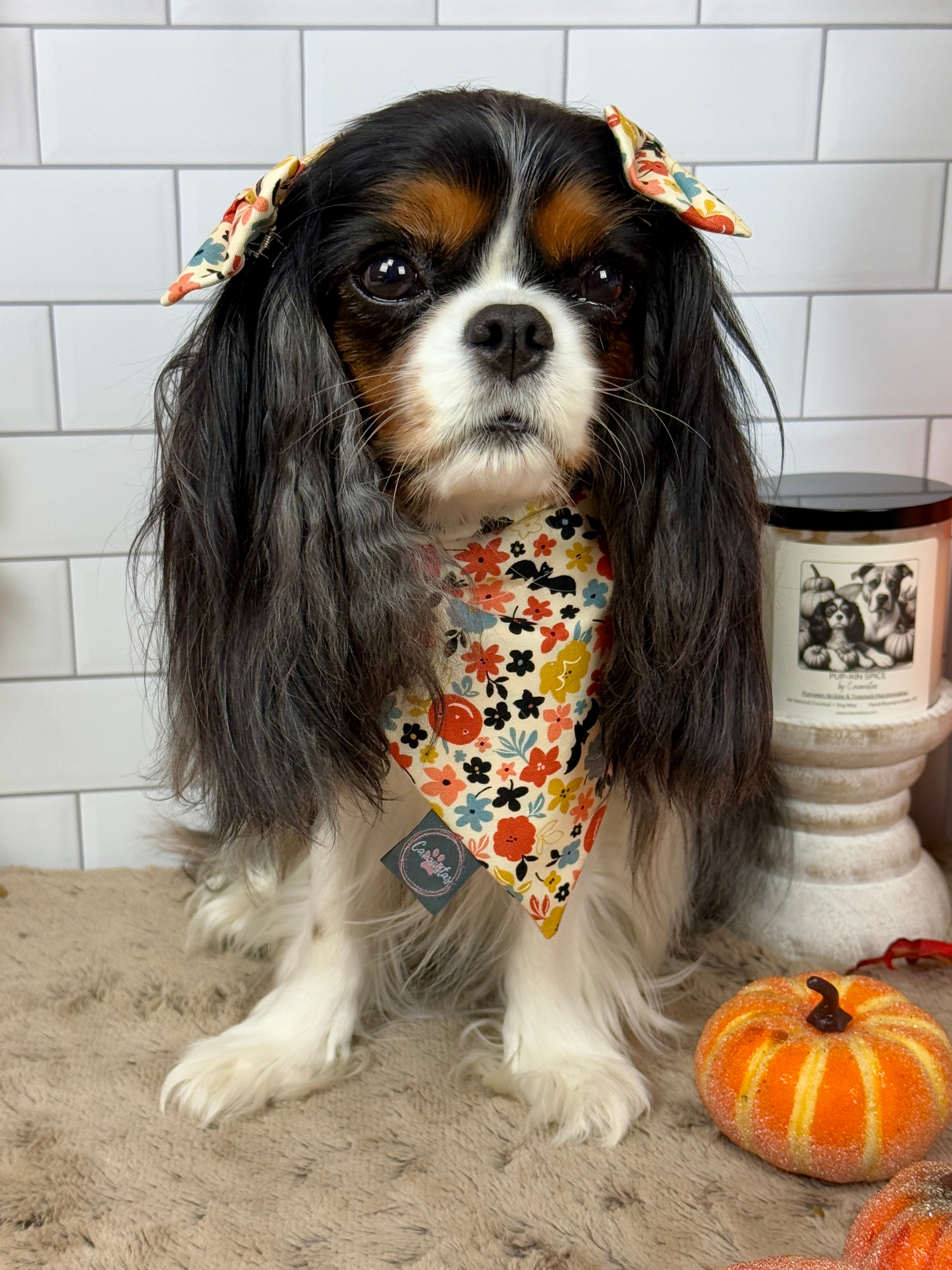 Intermission Wardrobe Change Reversible Bandana - Bat Blooms & Pumpkin Sprinkles