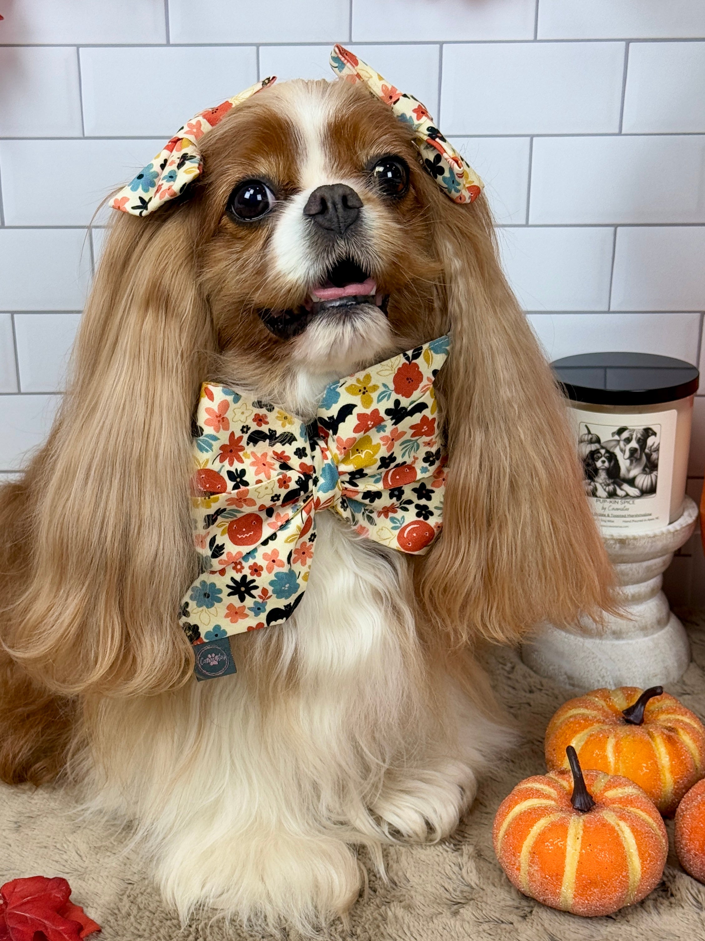 Strike a Pose Bow - Bats & Blooms or Pumpkin Sprinkles