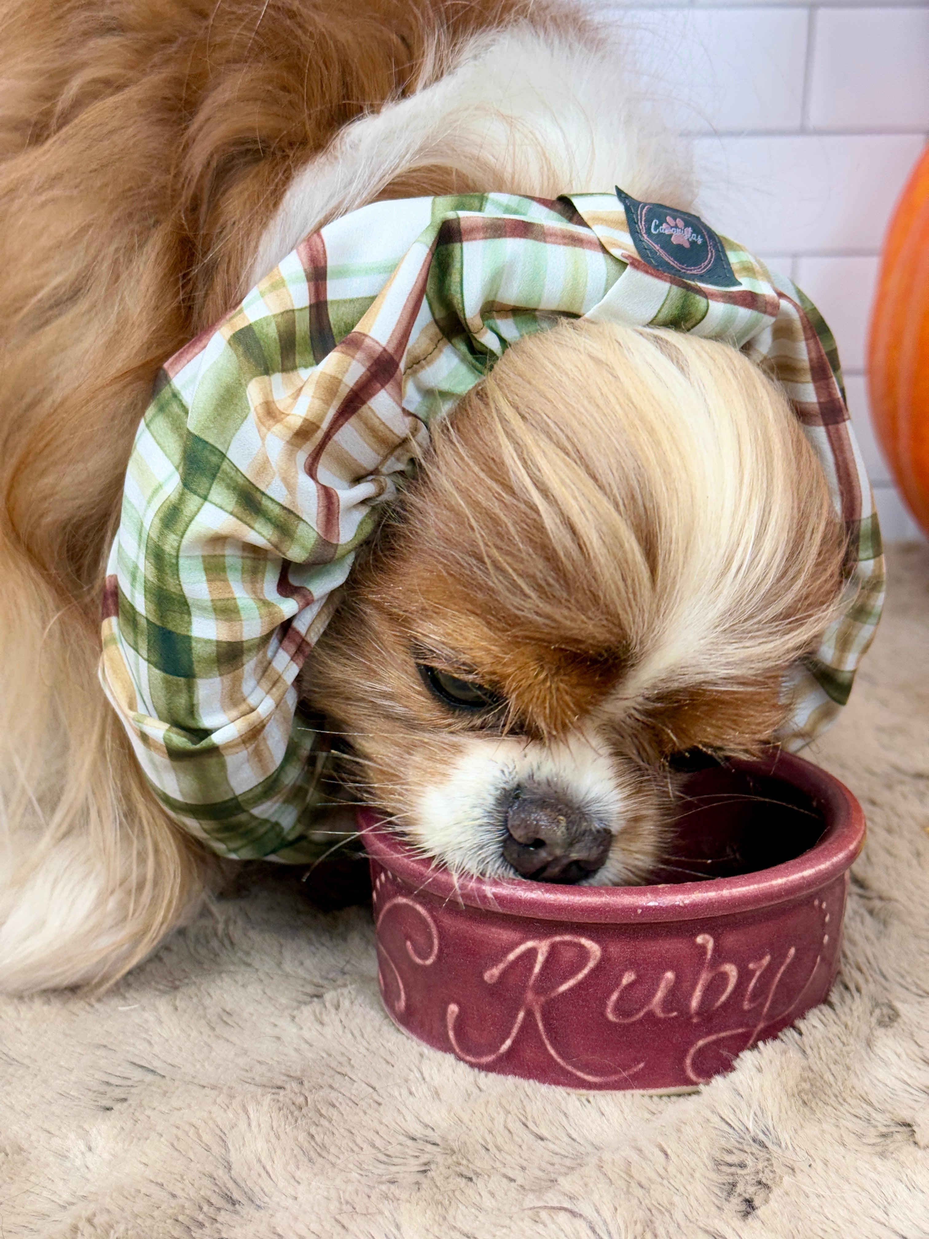 The Long Ear Struggles are Real Snood - Harvest Plaid