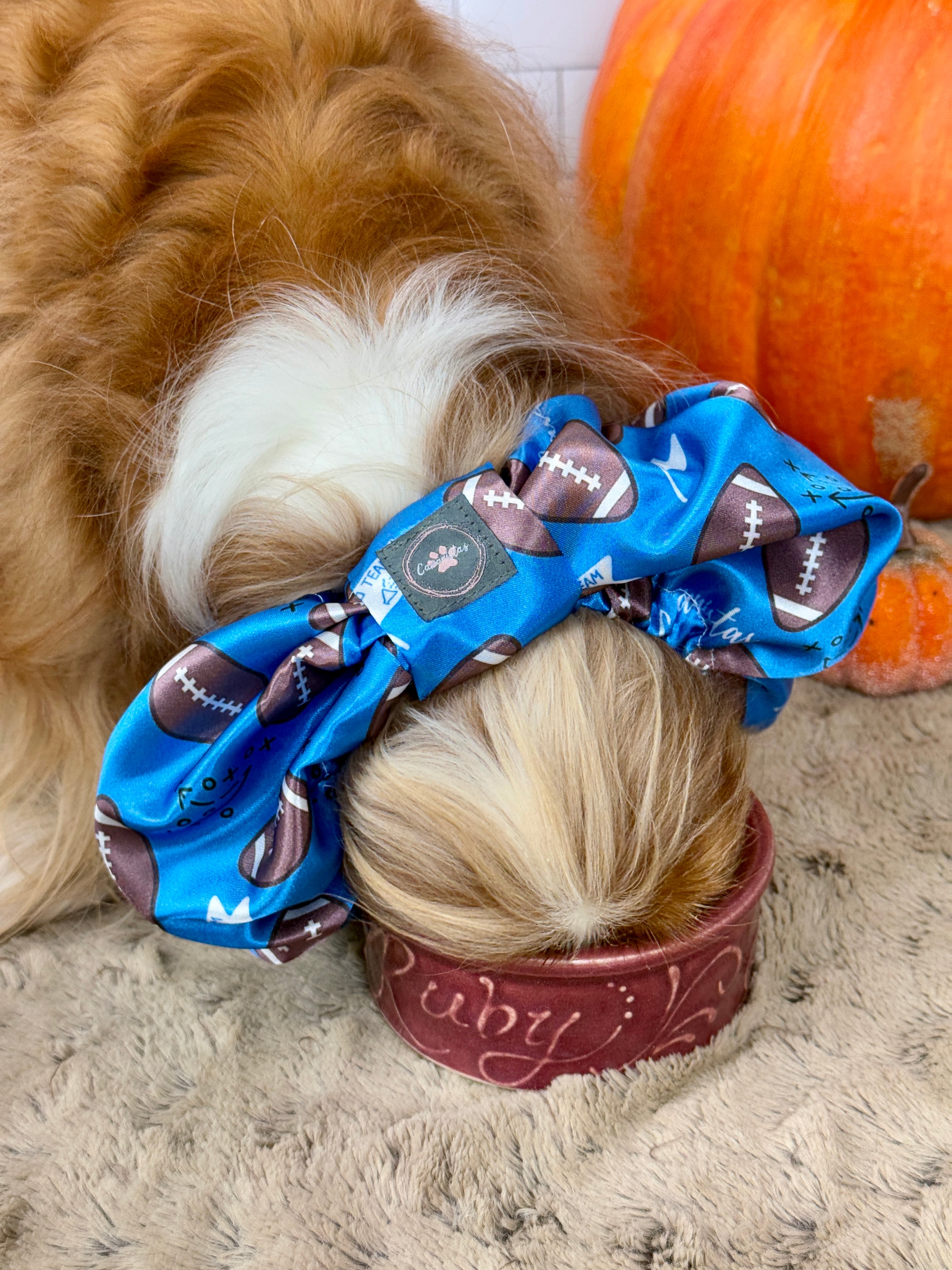 The Long-Ear Struggles are Real Snood - It's Football Time!