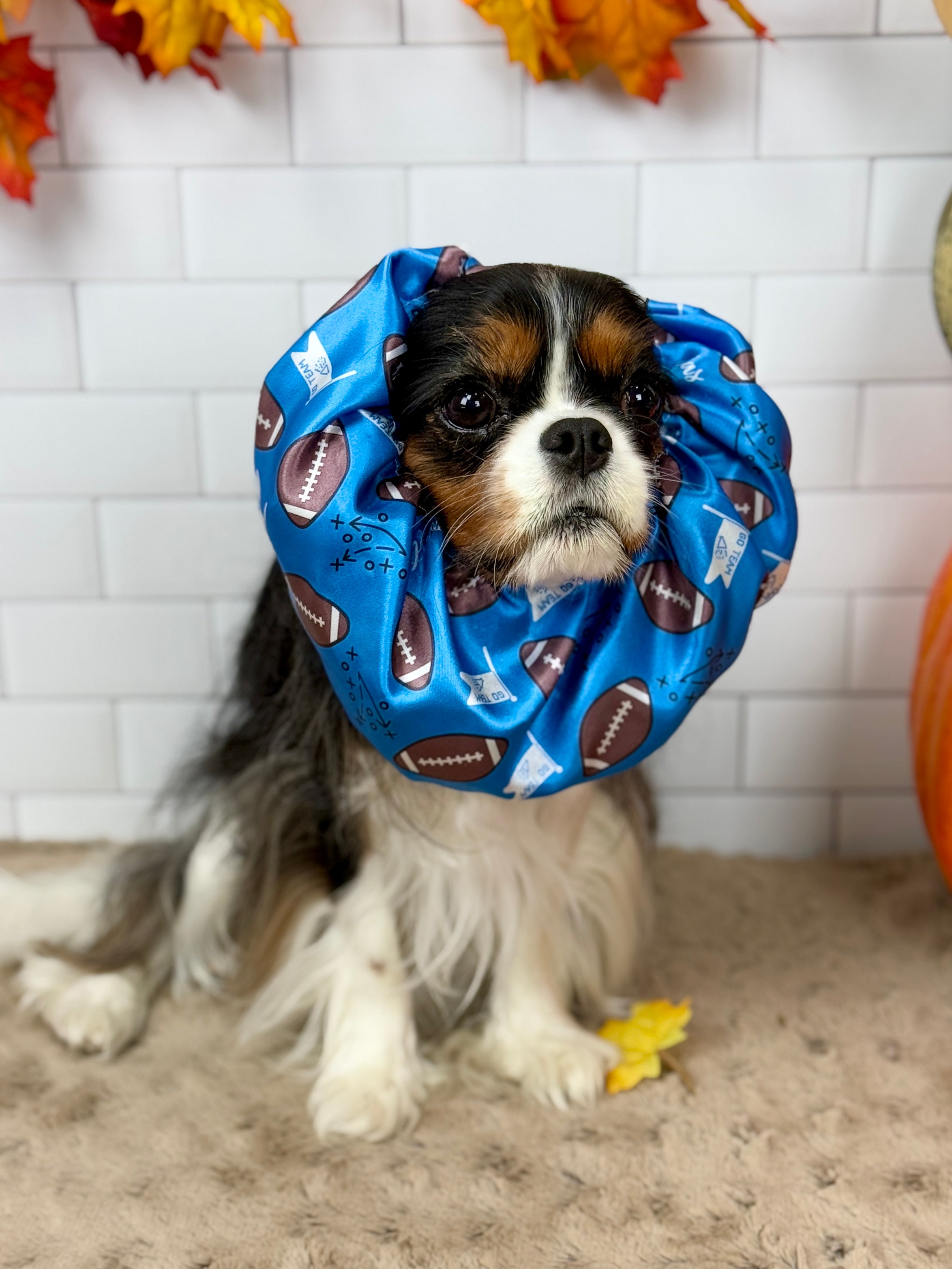 The Long-Ear Struggles are Real Snood - It's Football Time!