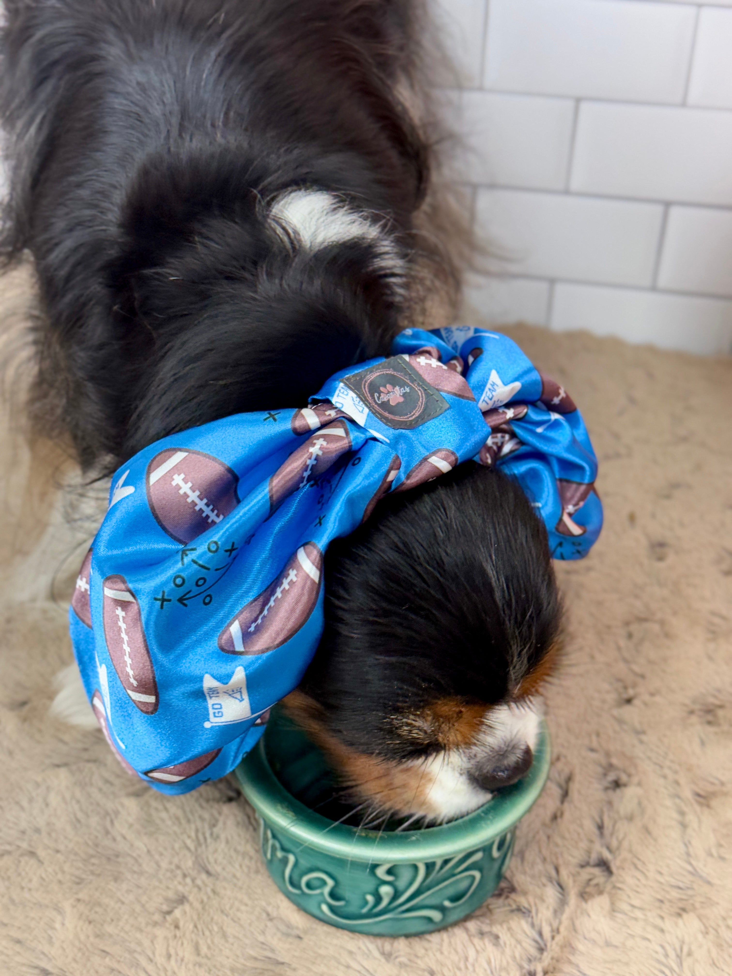 The Long-Ear Struggles are Real Snood - It's Football Time!