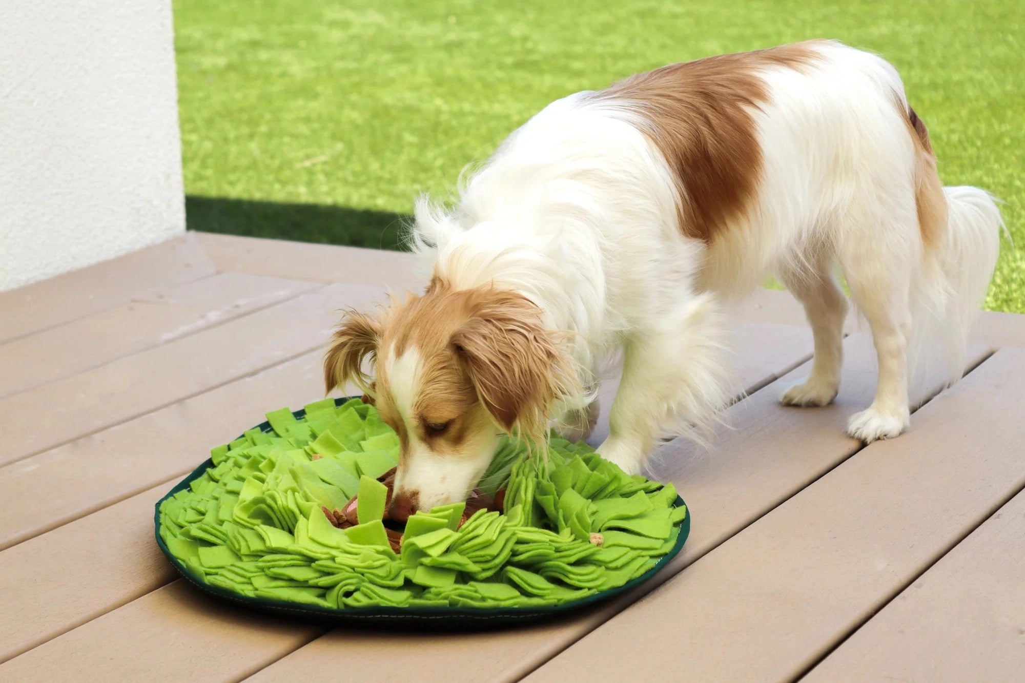 Avocado Snuffle Mat