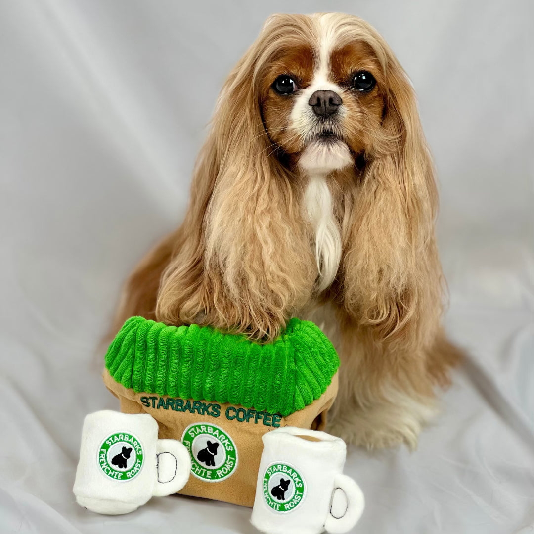 Starbarks Coffee House Burrow Dog Toy