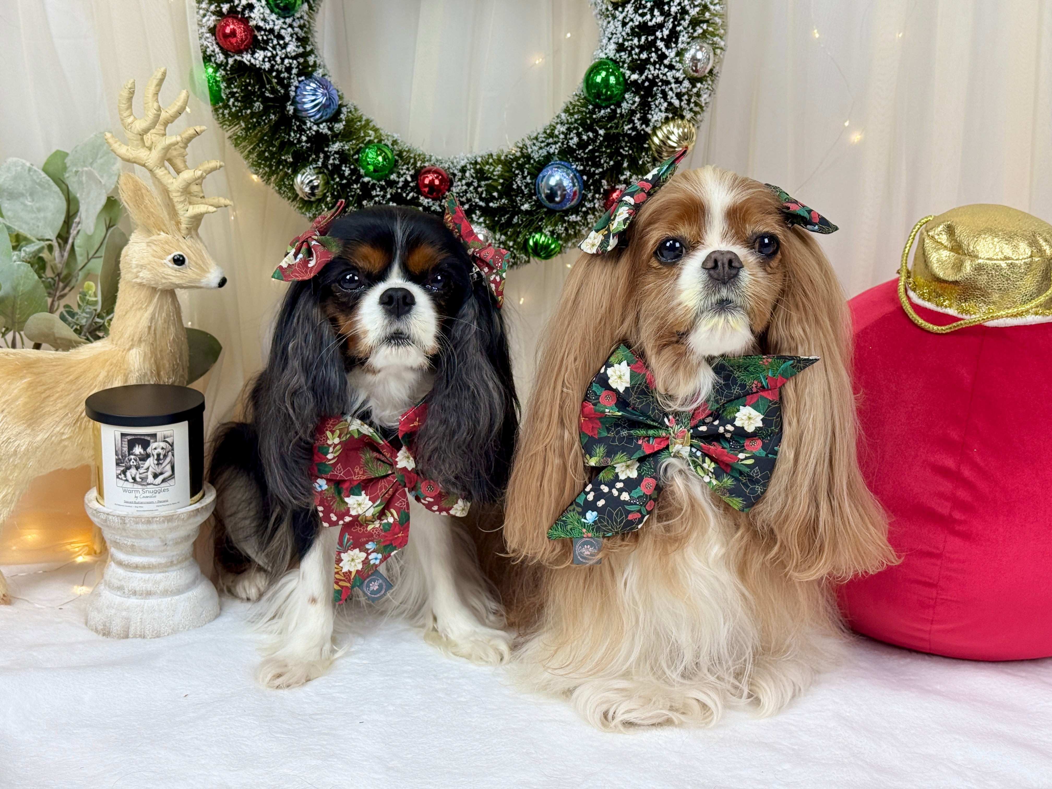 Home for the Holidays