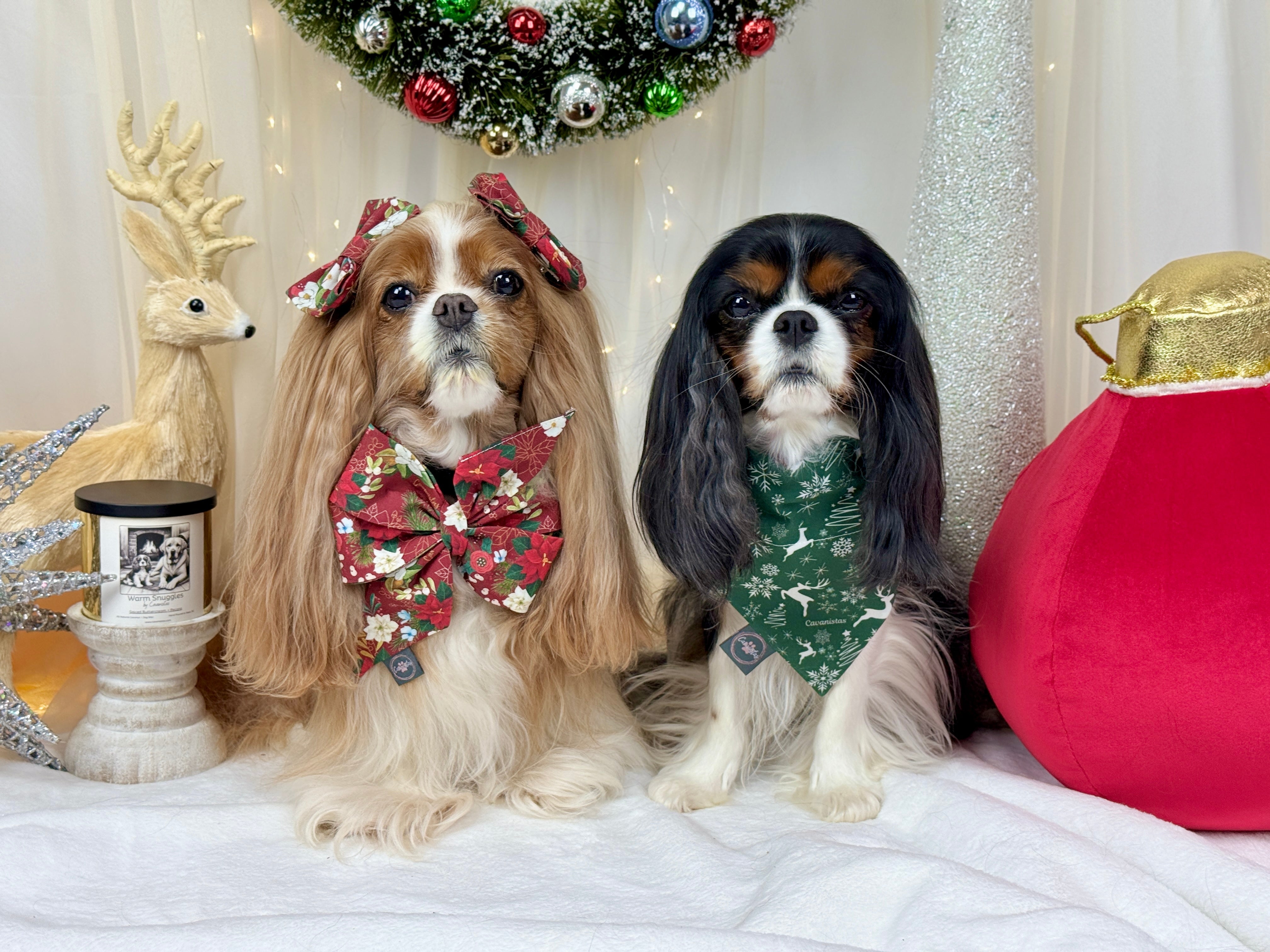 Crimson Winter Garden and Evergreen Sleigh Ride