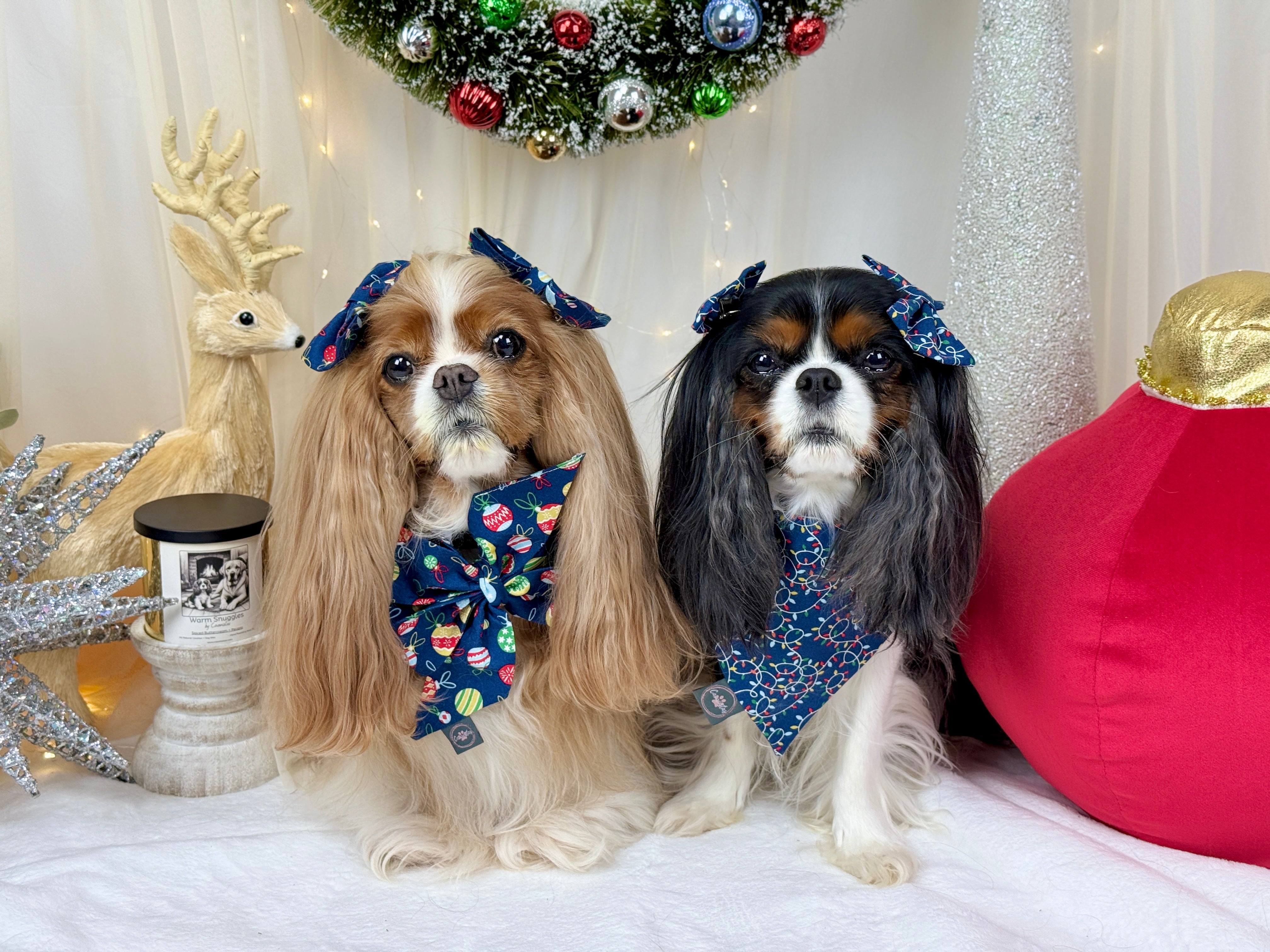 Deck the Halls and Trim the Tree