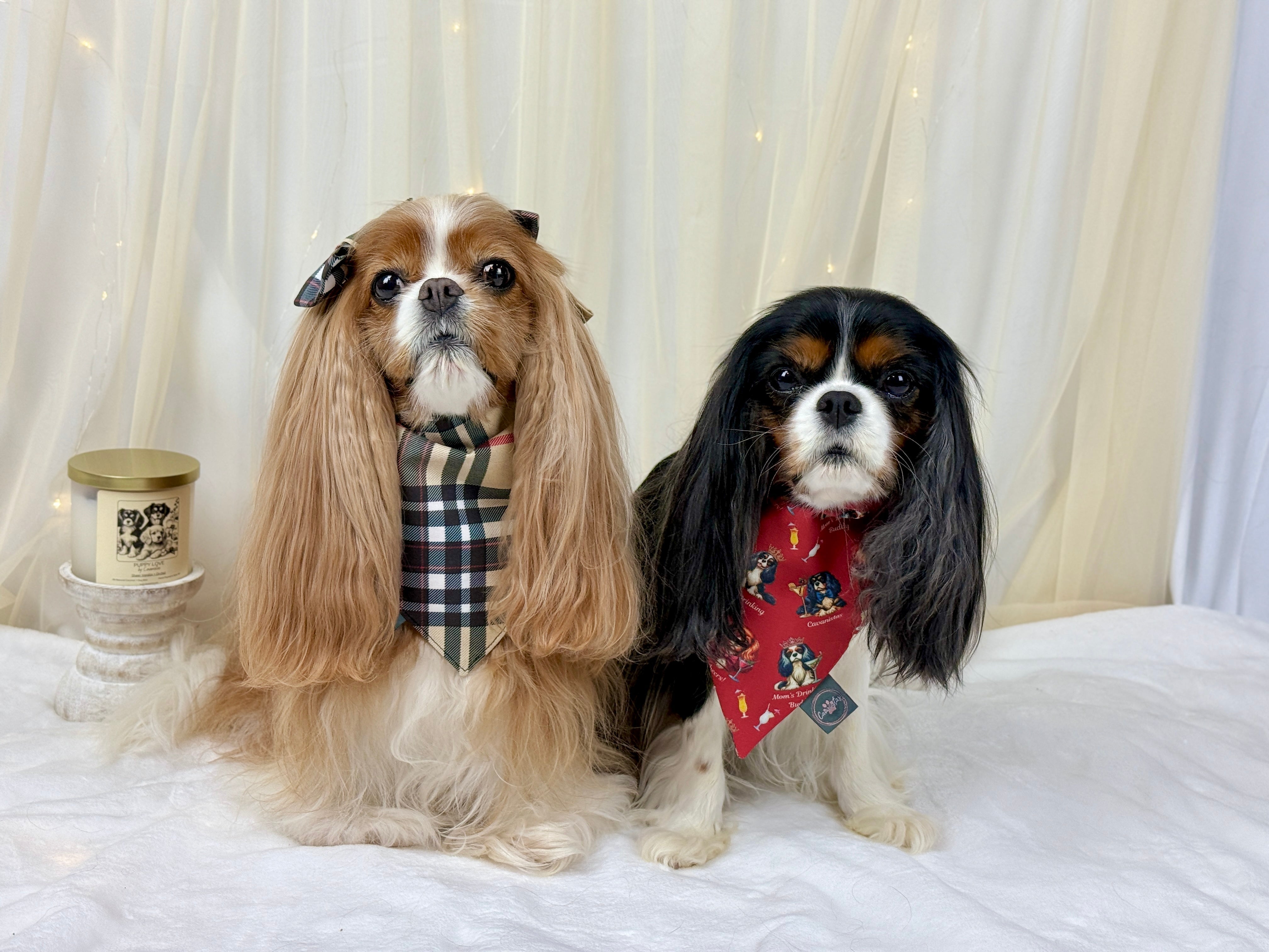 Furberry Plaid and Mom's Drinking Buddy